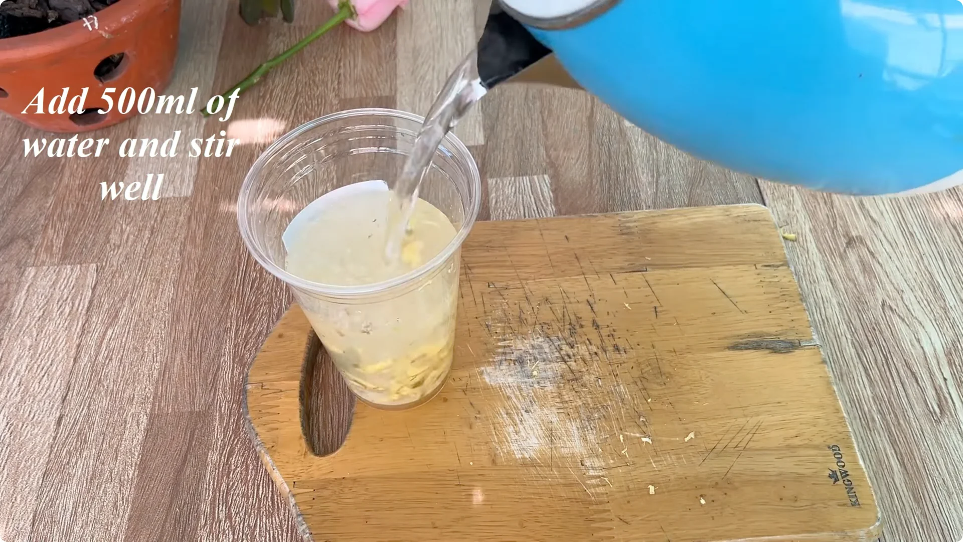 Why Any Rose Branch Can Root and Grow Much Faster screenshot 3