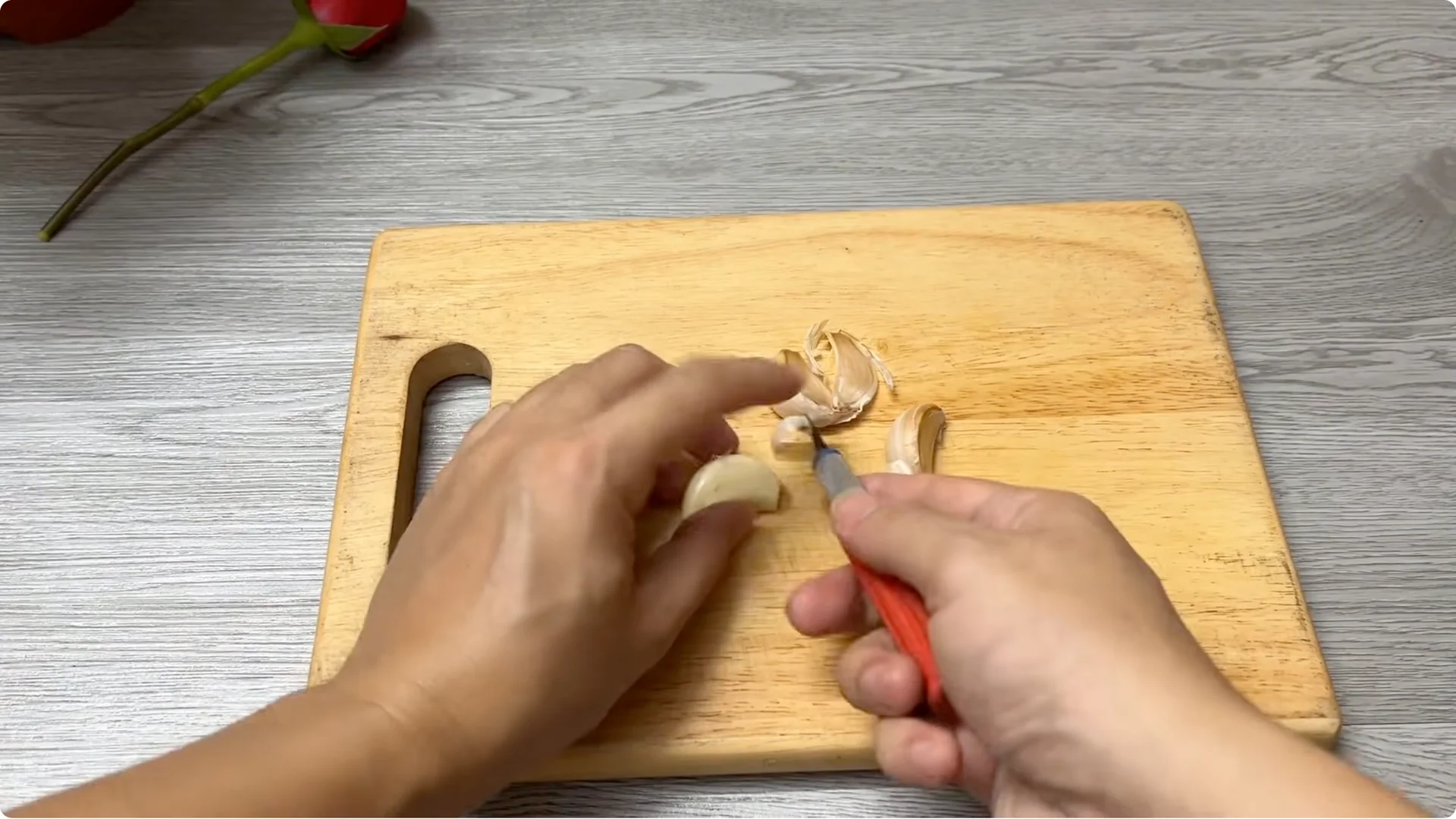 Why Did This Rose Branch Suddenly Grow Roots and Flowers? screenshot 2