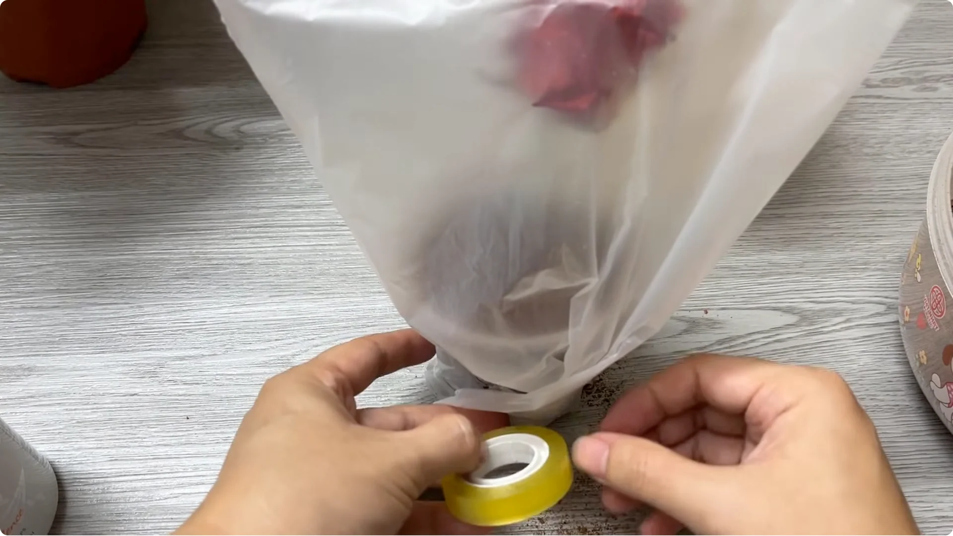 Why Did This Rose Branch Suddenly Grow Roots and Flowers? screenshot 5