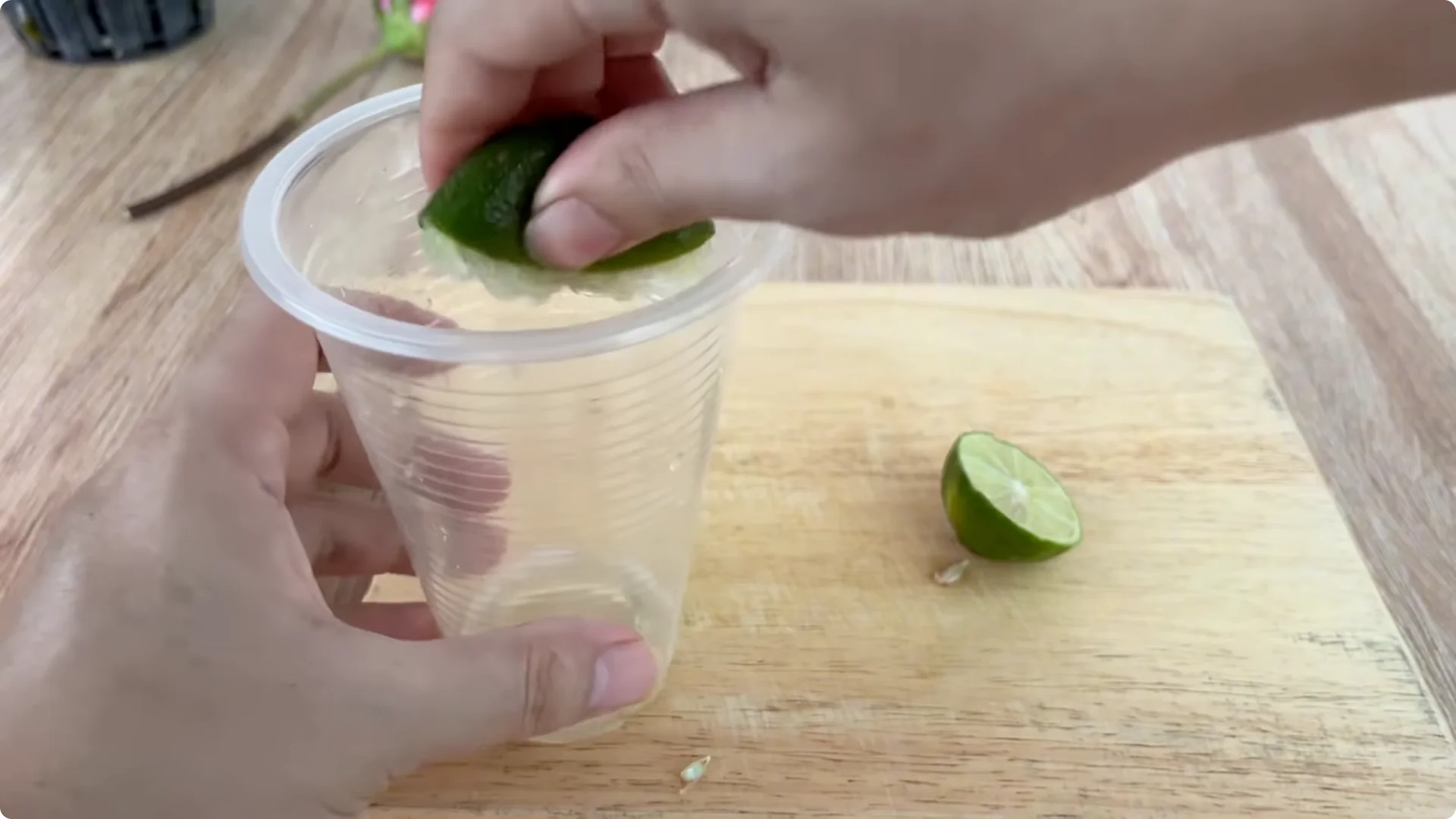 Why Does the Rose Root and Bloom So Rapidly with Just Lemon? screenshot 2