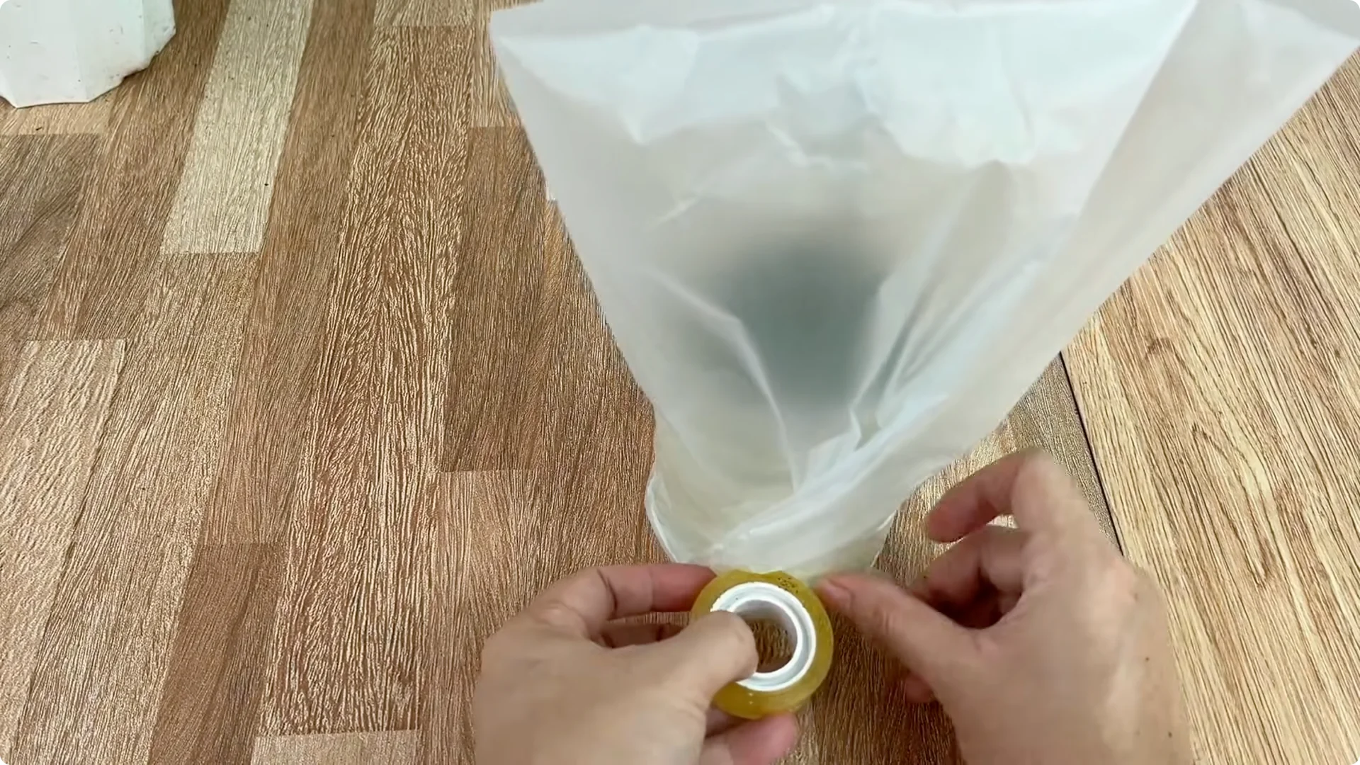 Why Placing a Rose Branch in a Potato Sparks Rapid Root Growth screenshot 10