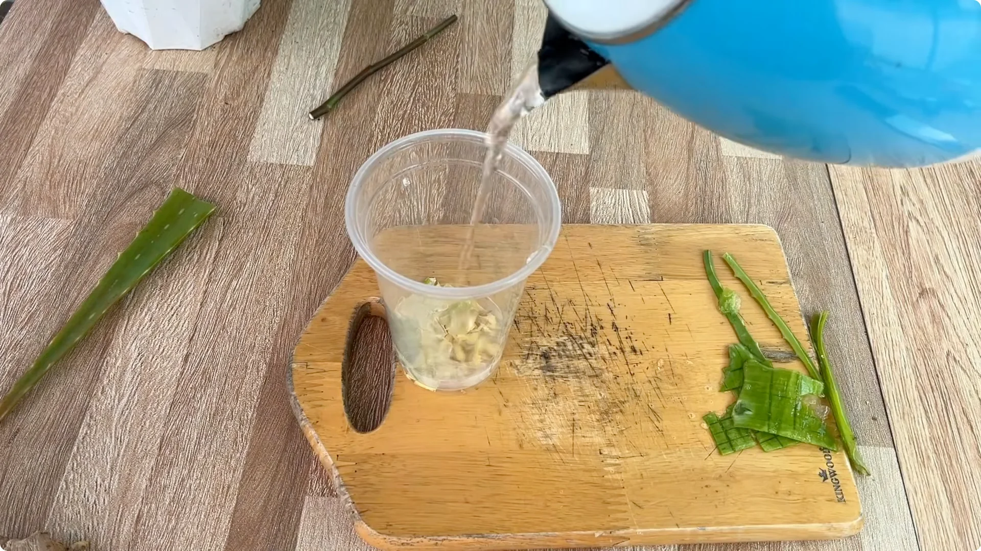 Why Placing a Rose Branch in a Potato Sparks Rapid Root Growth screenshot 4