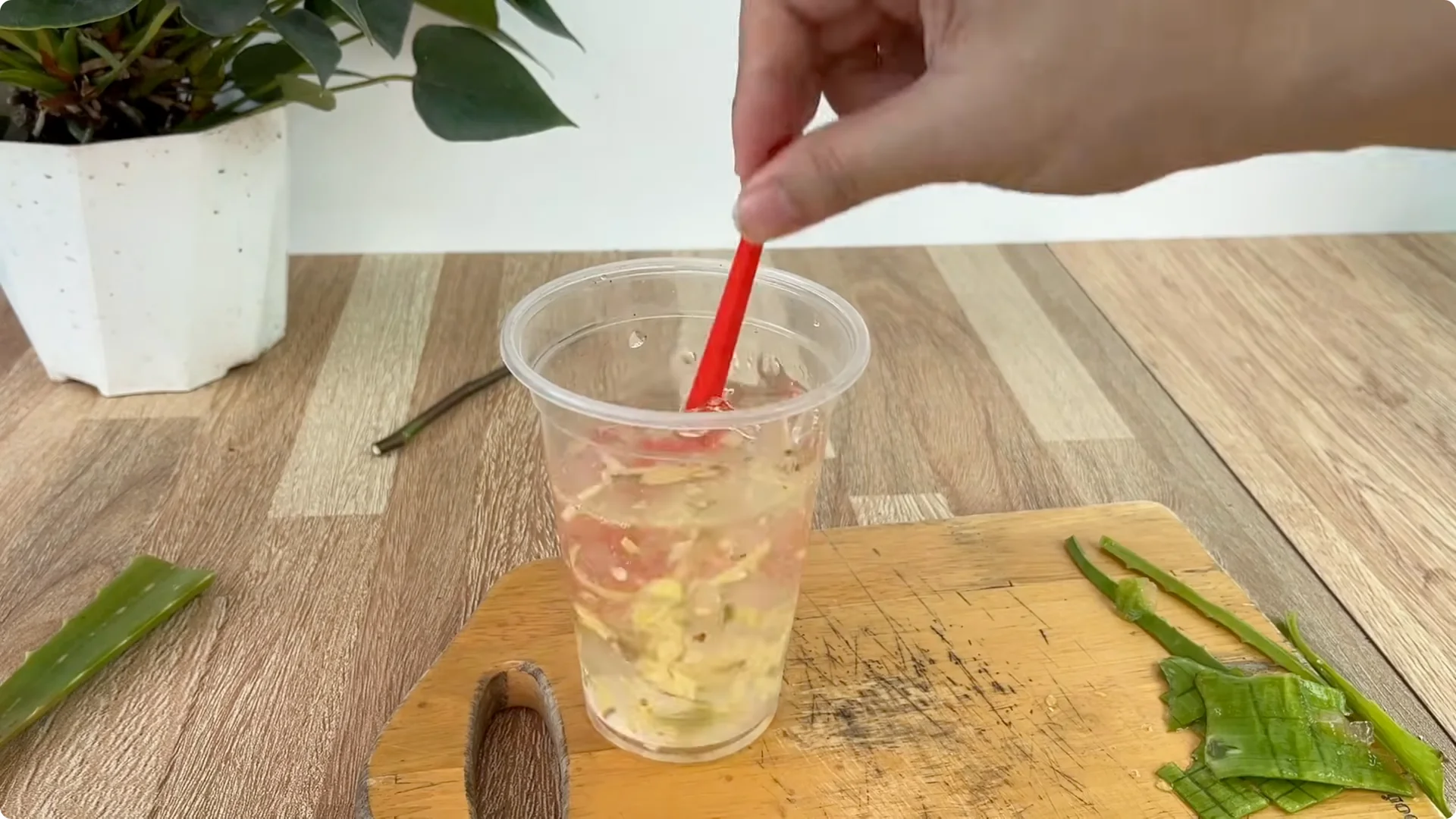 Why Placing a Rose Branch in a Potato Sparks Rapid Root Growth screenshot 5