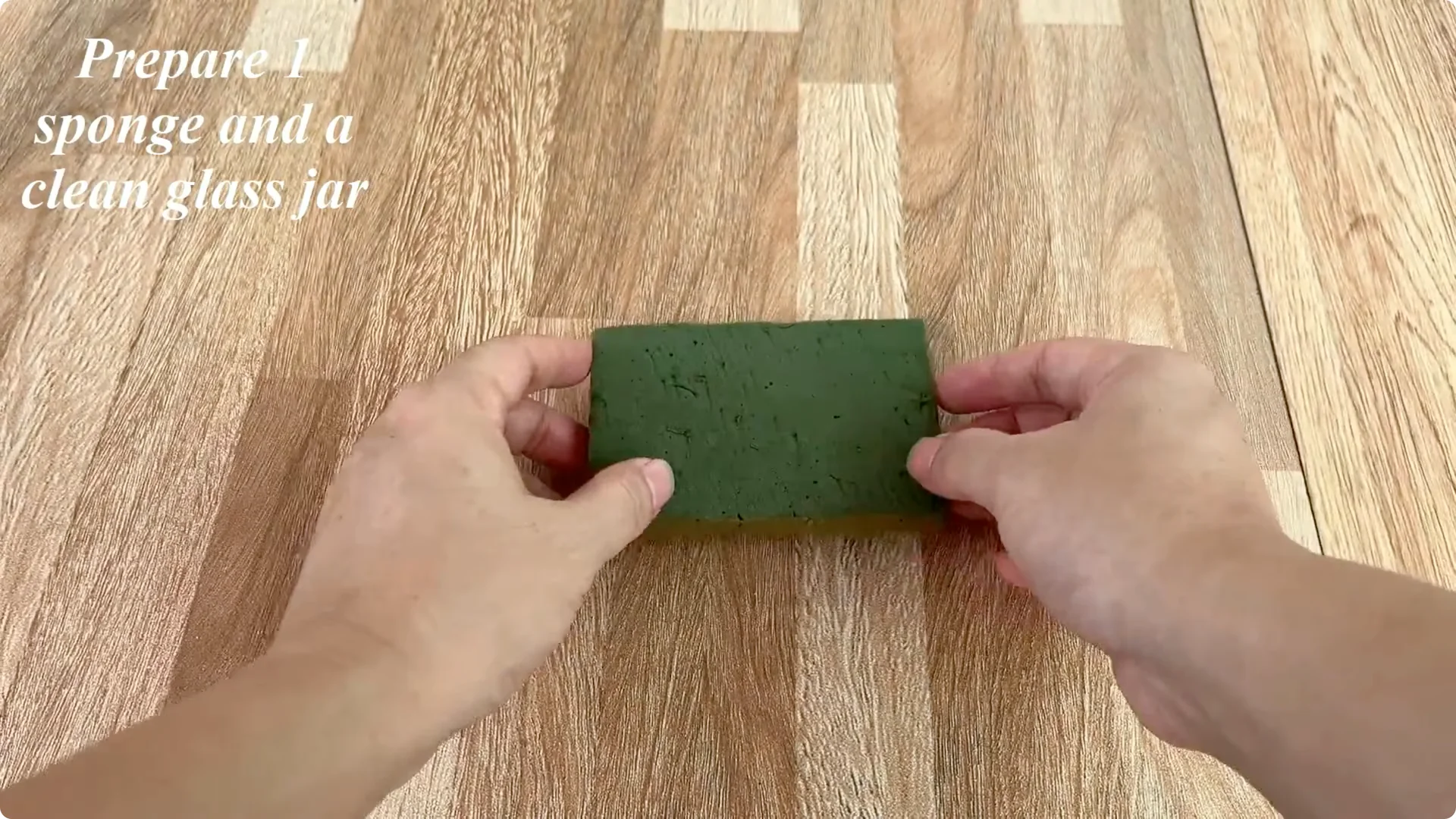 Why Placing a Rose Branch in a Potato Sparks Rapid Root Growth screenshot 6