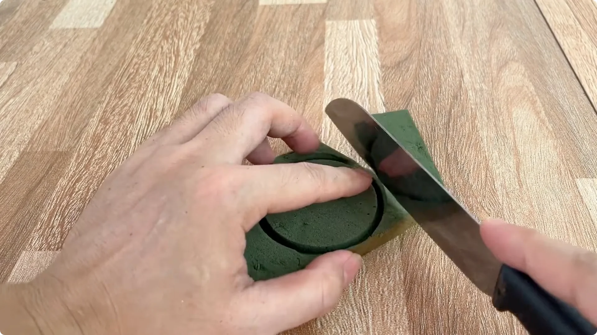 Why Placing a Rose Branch in a Potato Sparks Rapid Root Growth screenshot 7