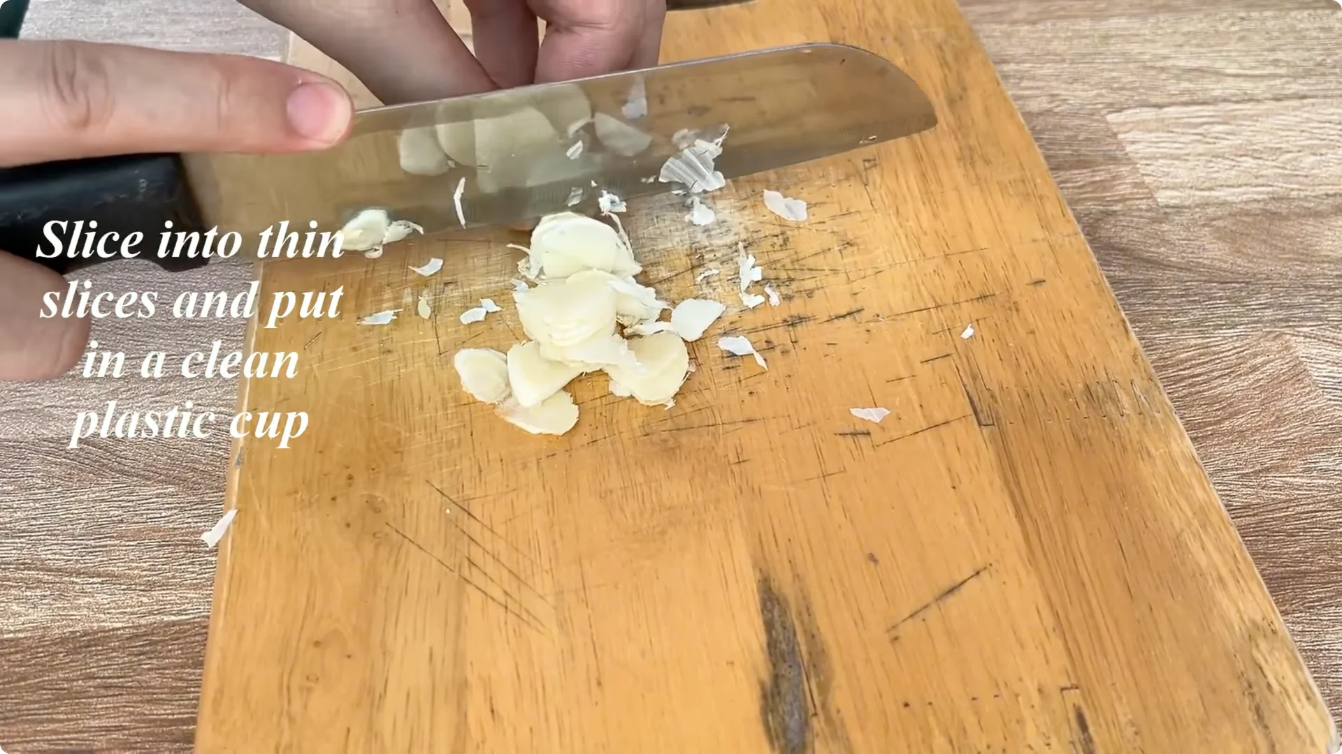 Discover the Simple Method to Propagate Roses Easily screenshot 1