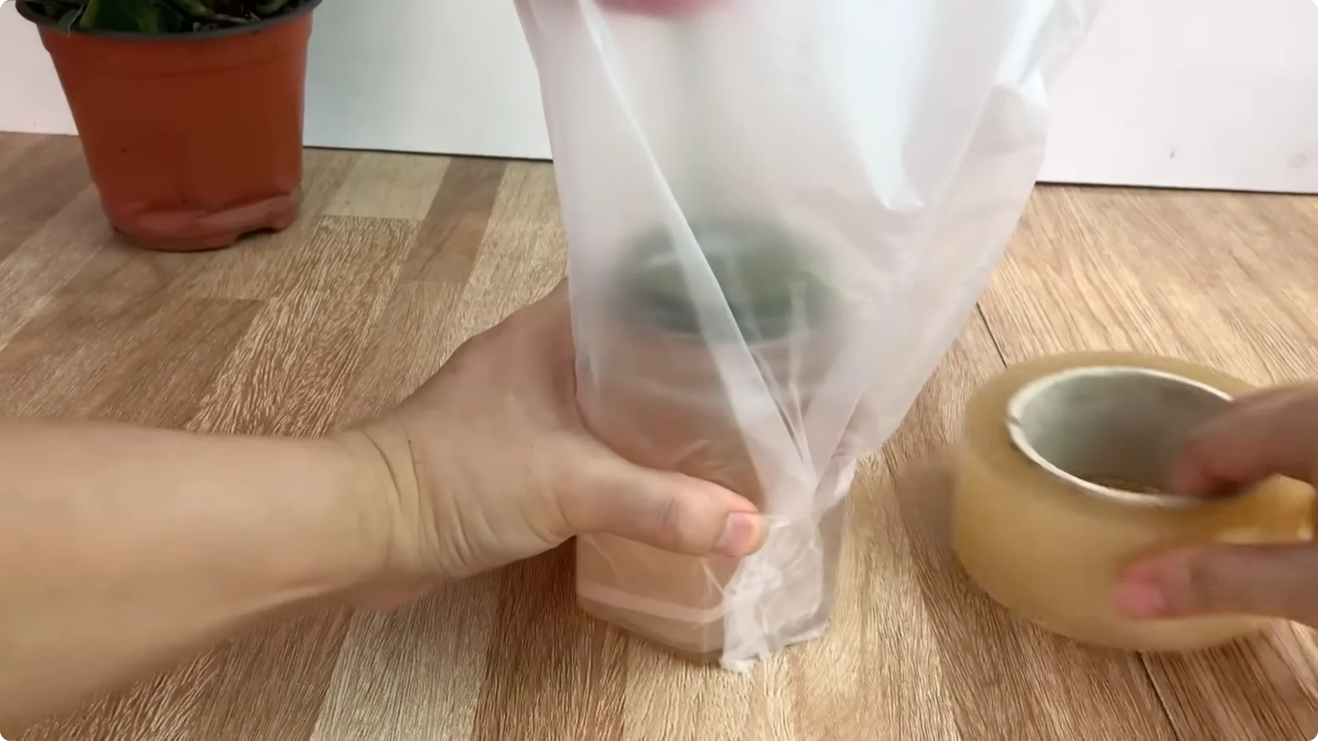 Discover the Simple Method to Propagate Roses Easily screenshot 14