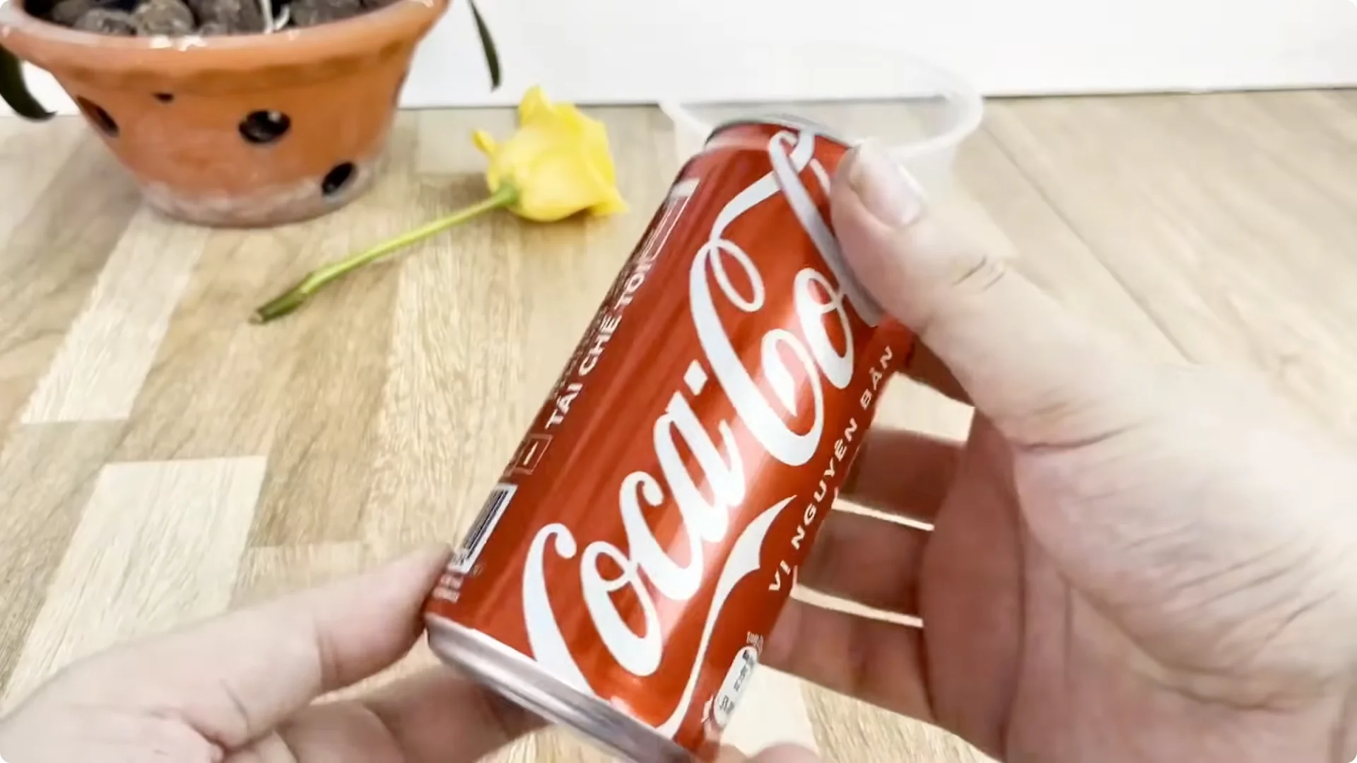 Discover the Simple Method to Propagate Roses Easily screenshot 3