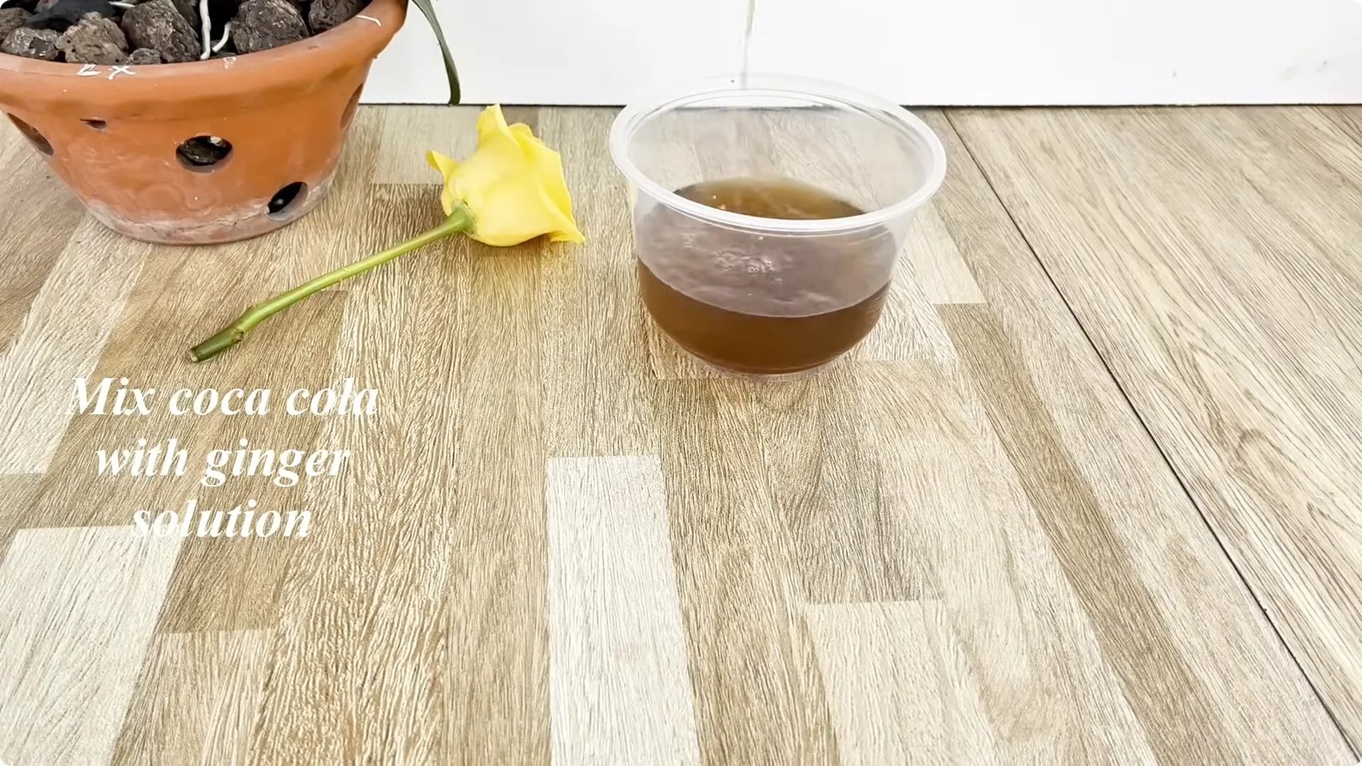 Discover the Simple Method to Propagate Roses Easily screenshot 4