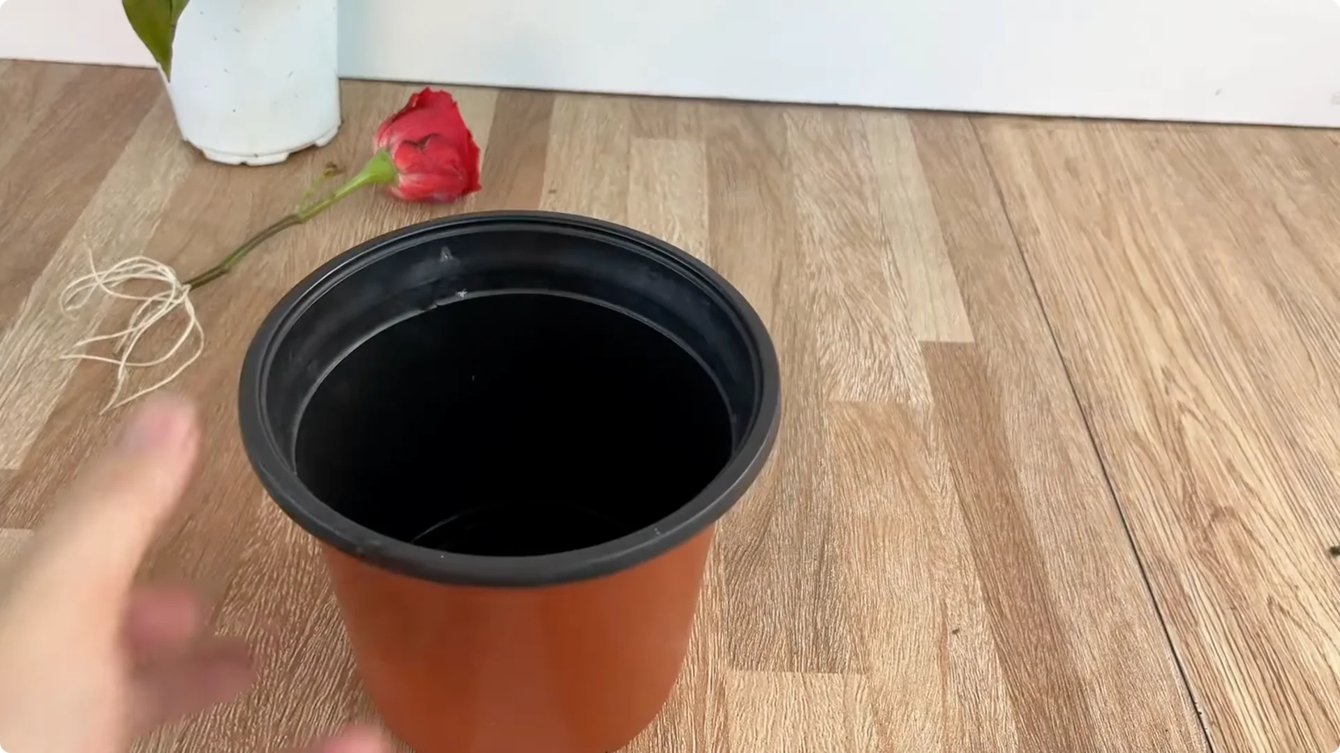 Discover the Simple Method to Propagate Roses Easily screenshot 4