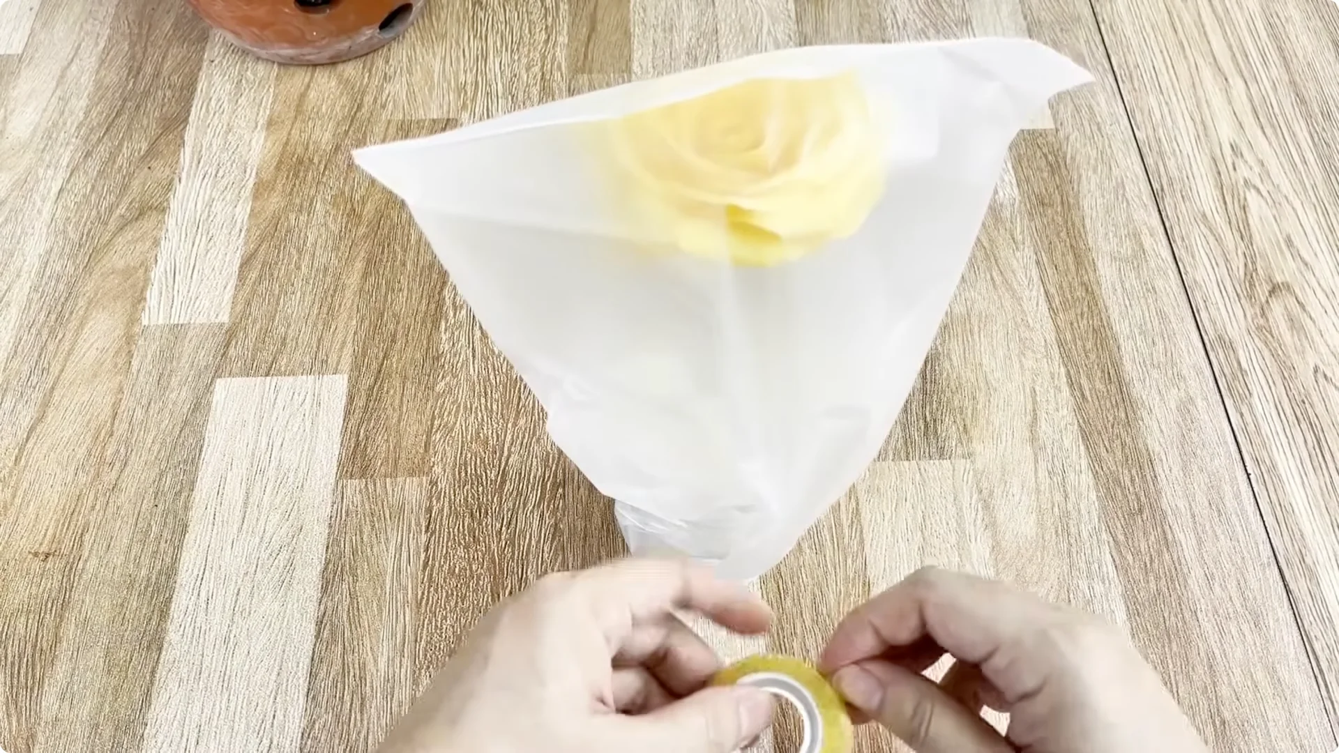 Discover the Simple Method to Propagate Roses Easily screenshot 6