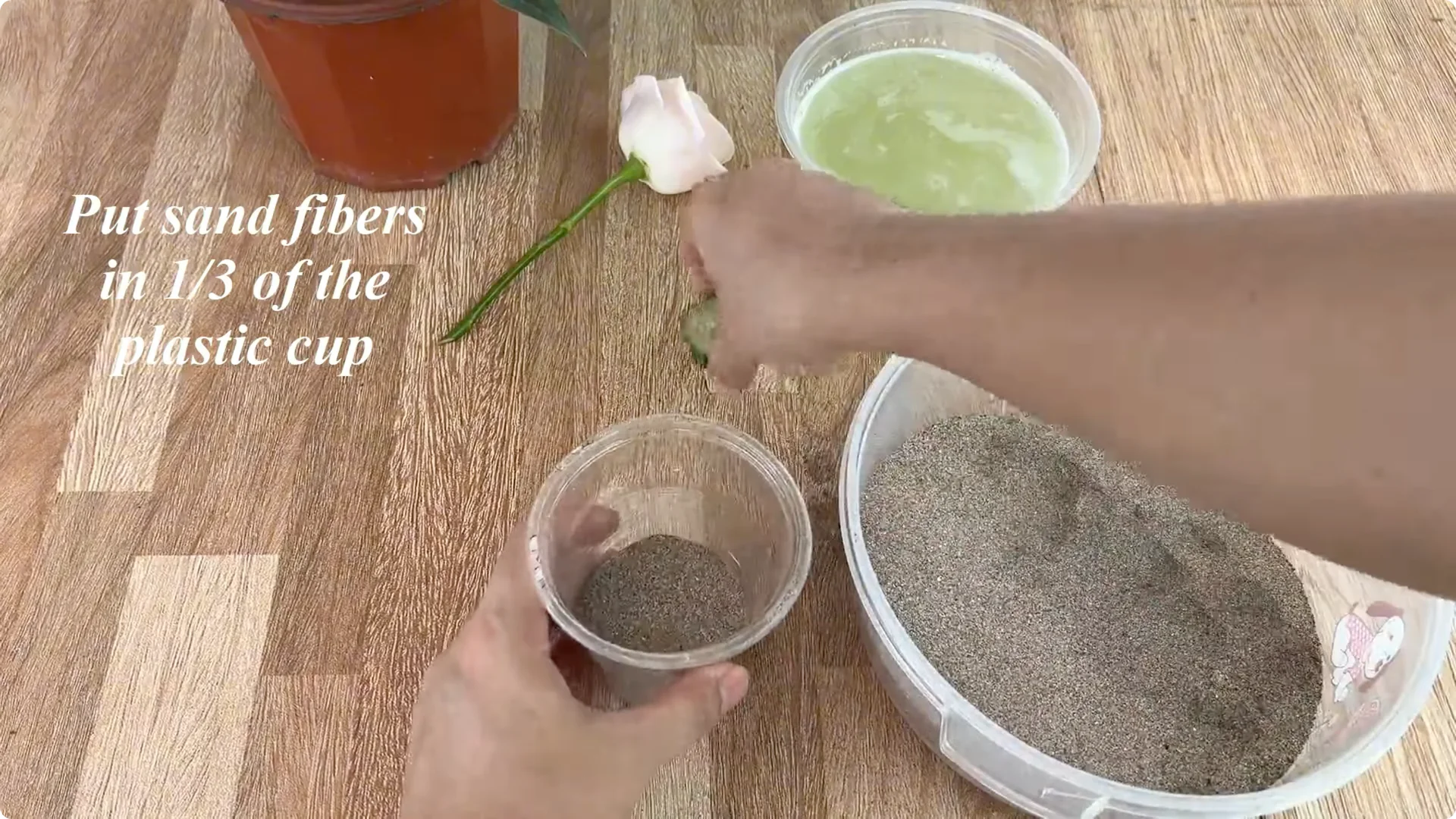 Discover the Surprising Method to Propagate Roses Easily screenshot 11