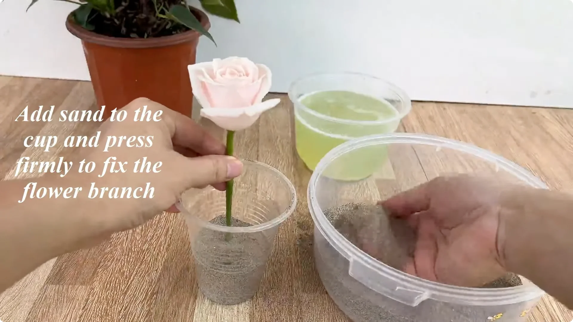 Discover the Surprising Method to Propagate Roses Easily screenshot 12
