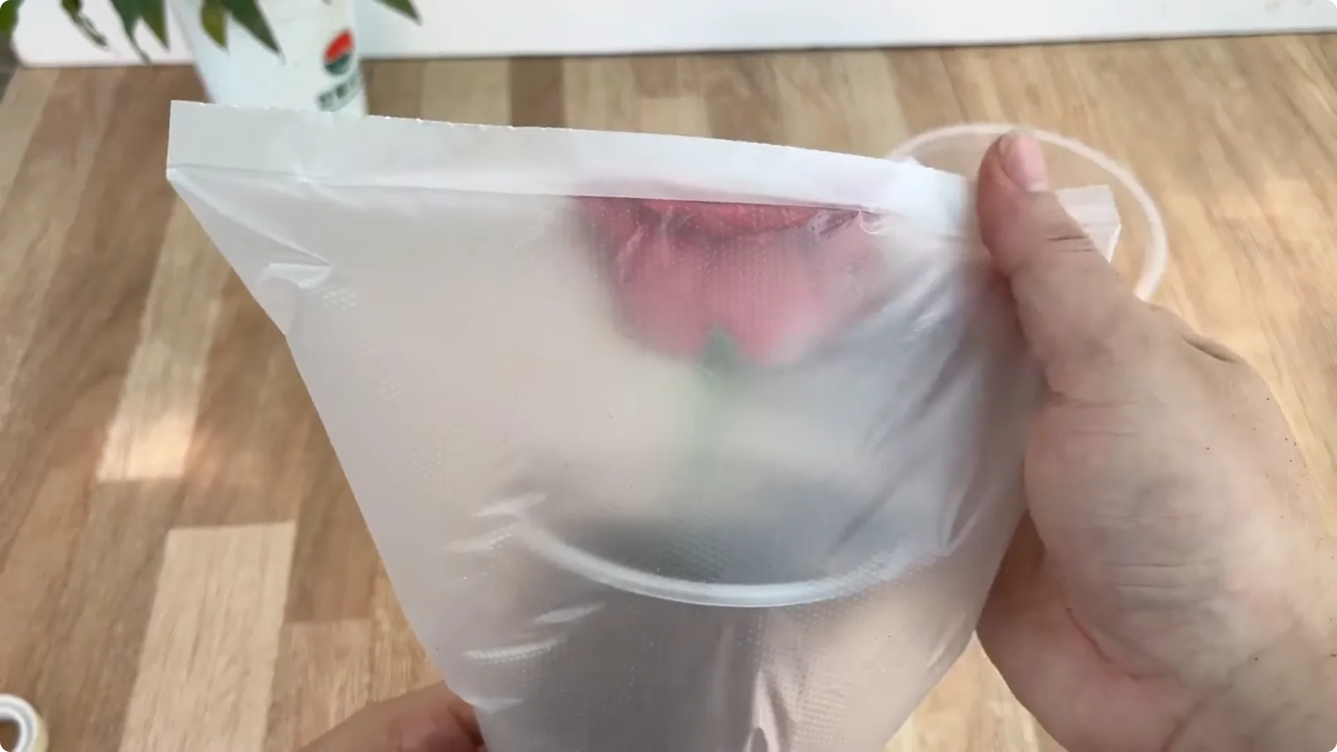 Discover the Surprising Method to Propagate Roses Easily screenshot 16