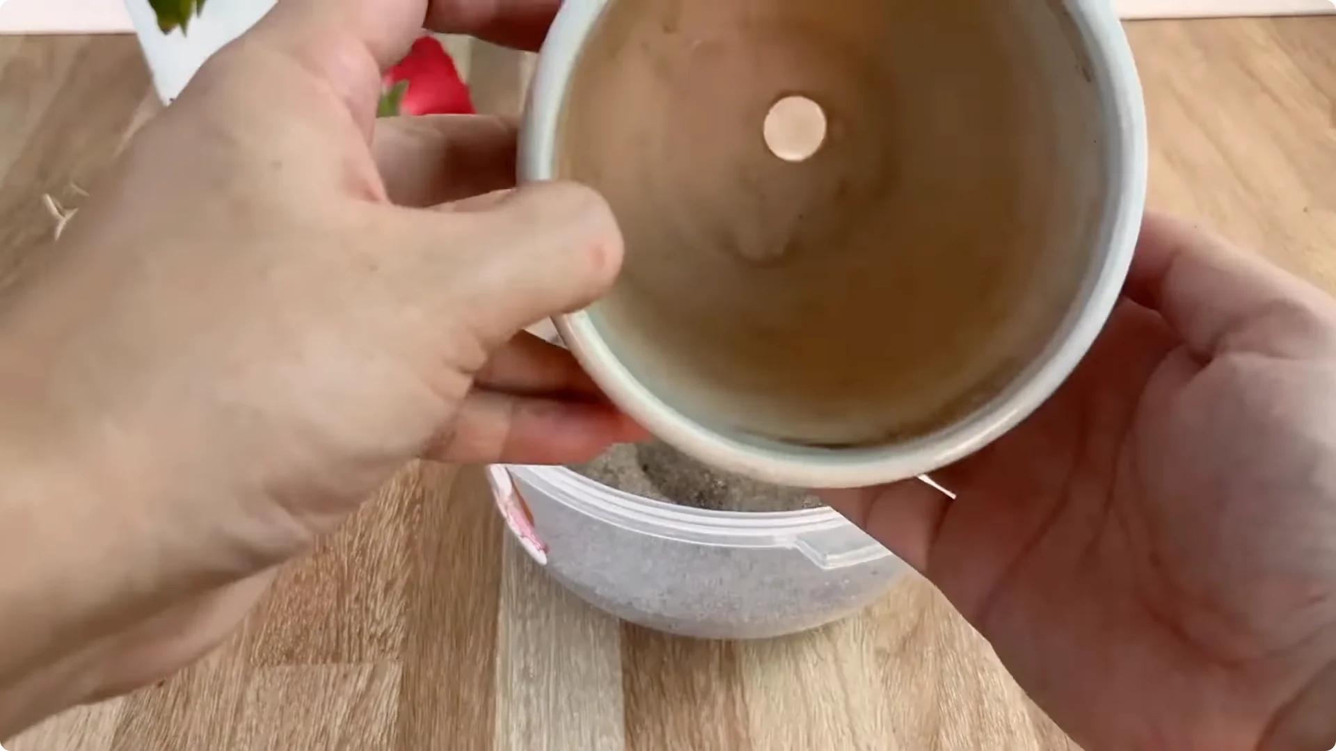 Discover the Surprising Method to Propagate Roses Easily screenshot 18