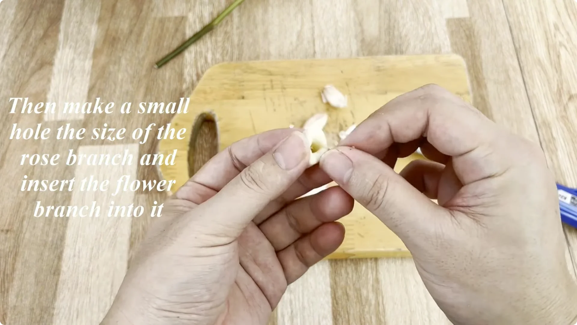 Discover the Surprising Method to Propagate Roses Easily screenshot 2