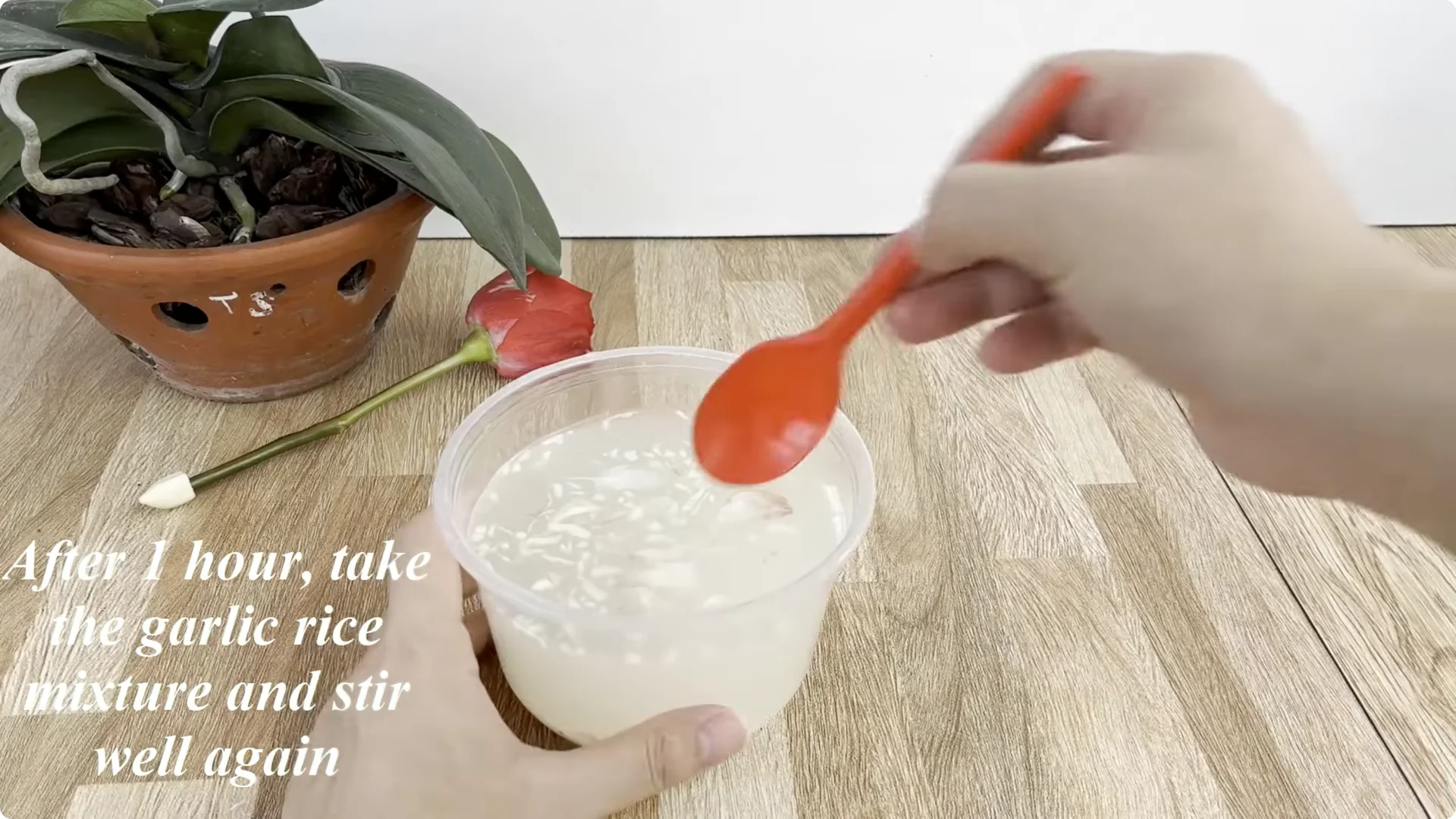 Discover the Surprising Method to Propagate Roses Easily screenshot 4