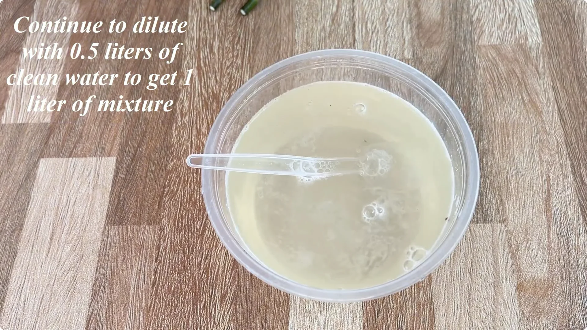 Discover the Surprising Method to Propagate Roses Easily screenshot 4