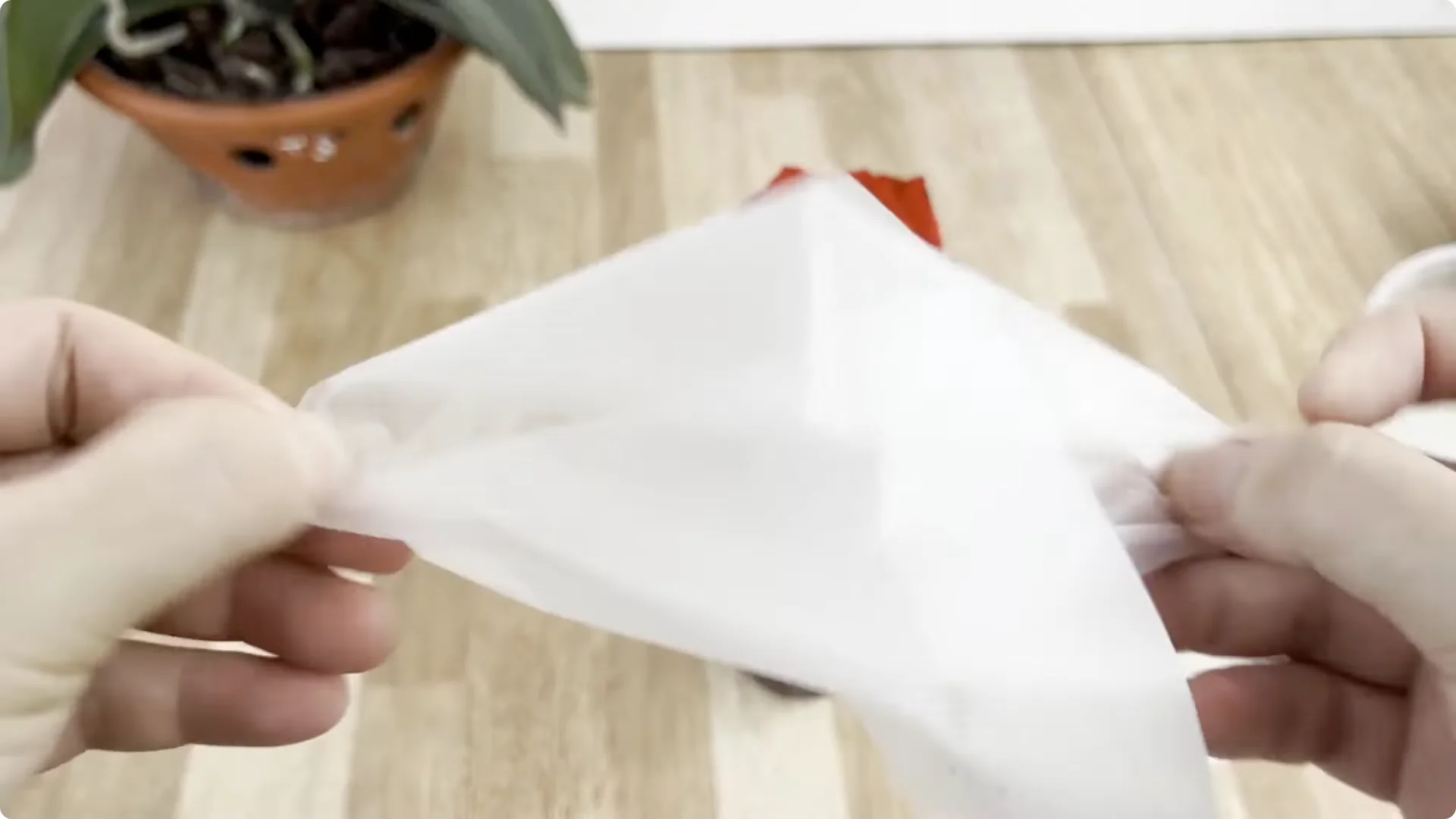 Discover the Surprising Method to Propagate Roses Easily screenshot 6