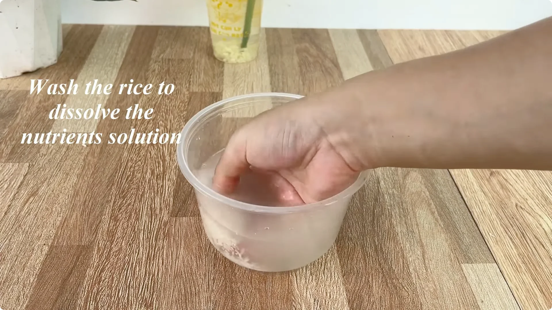 How 1 Cup Sparks 1001 Roots and Endless Roses Blooming screenshot 7