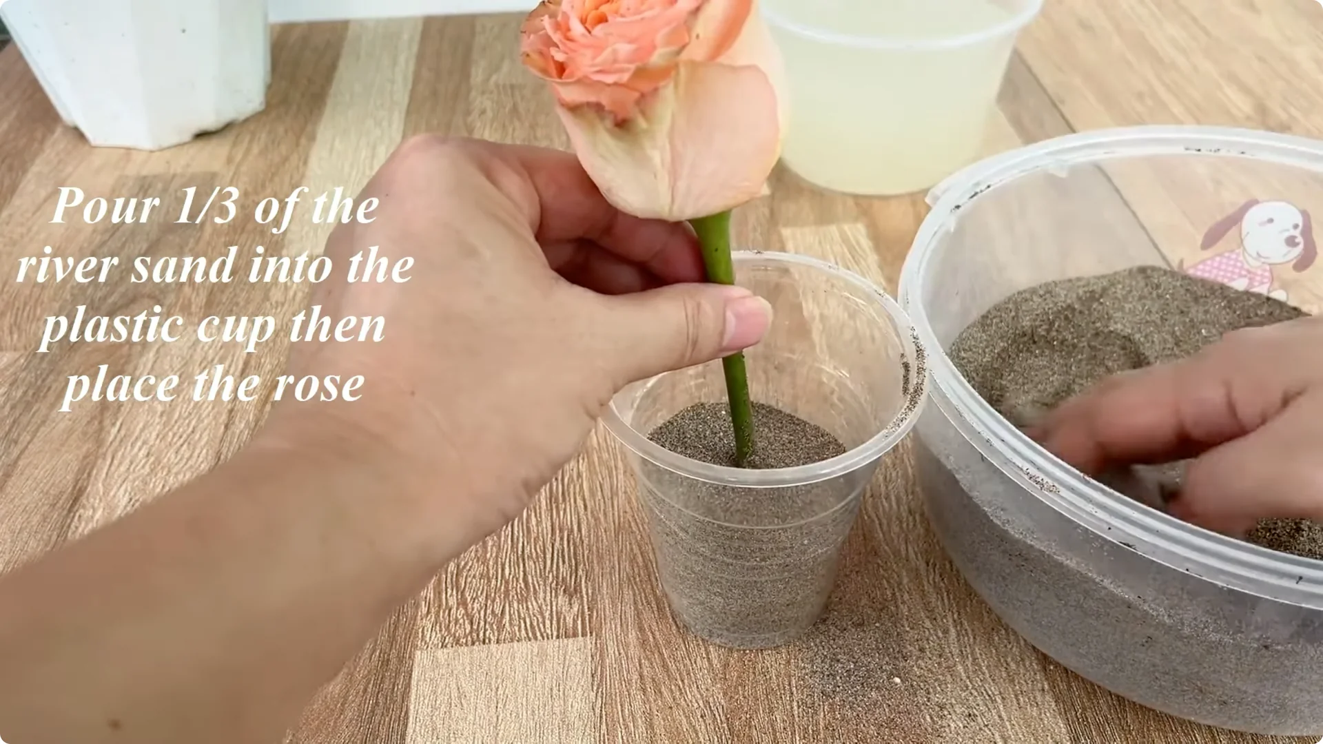 How 1 Cup Sparks 1001 Roots and Endless Roses Blooming screenshot 9