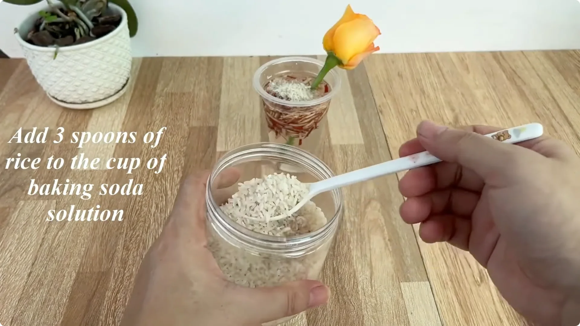 How 1 Cup Sparks 1001 Roots and Year-Round Roses screenshot 4