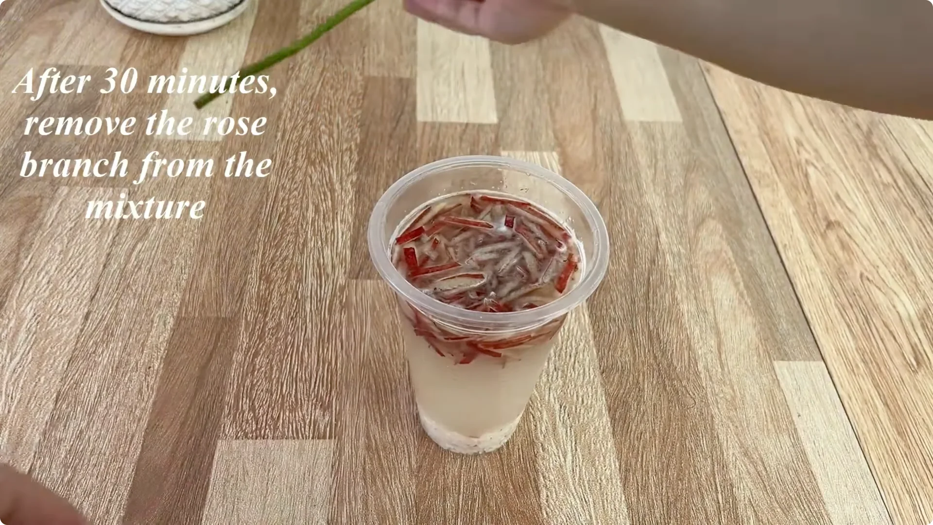 How 1 Cup Sparks 1001 Roots and Year-Round Roses screenshot 5