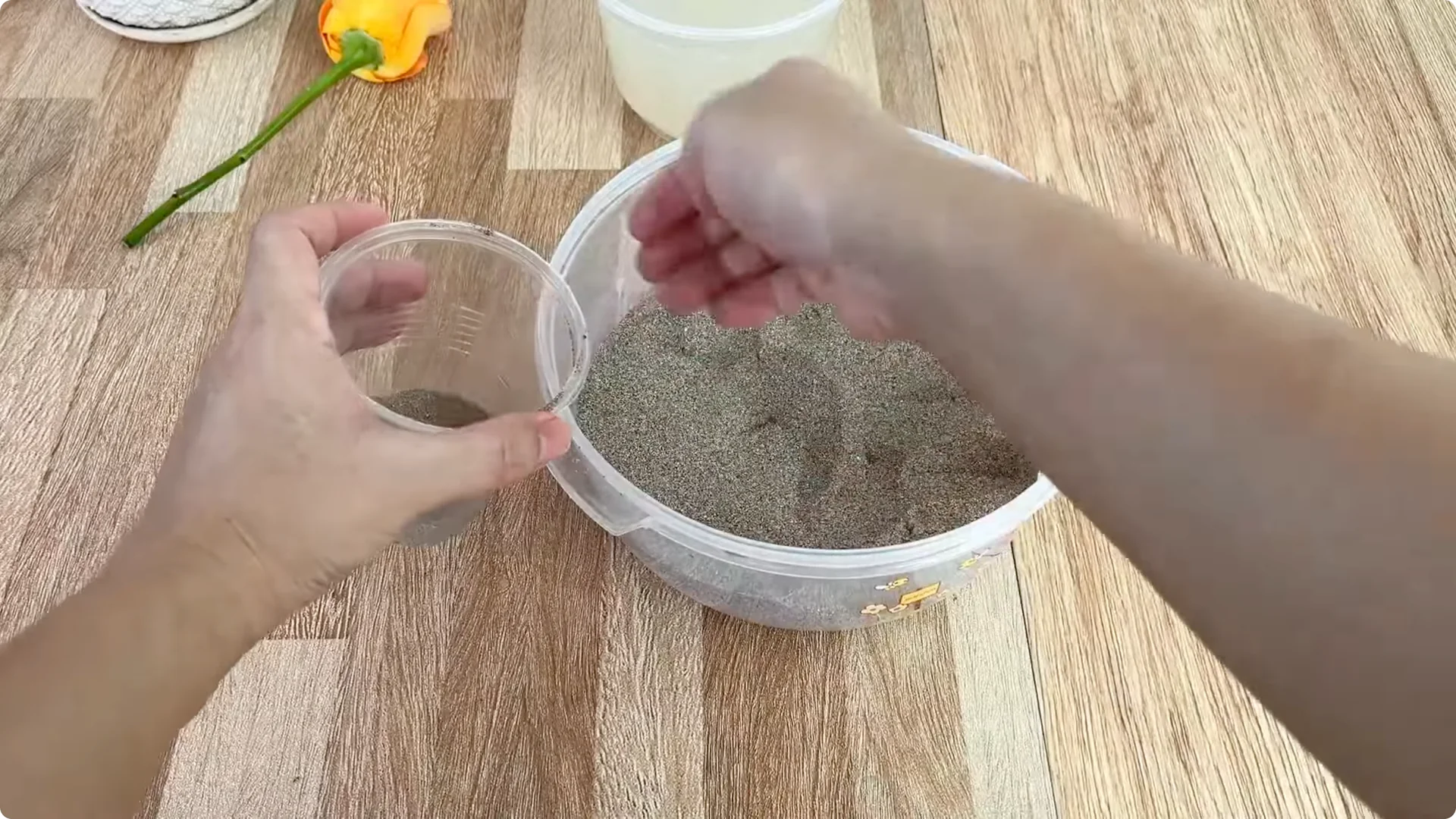 How 1 Cup Sparks 1001 Roots and Year-Round Roses screenshot 7