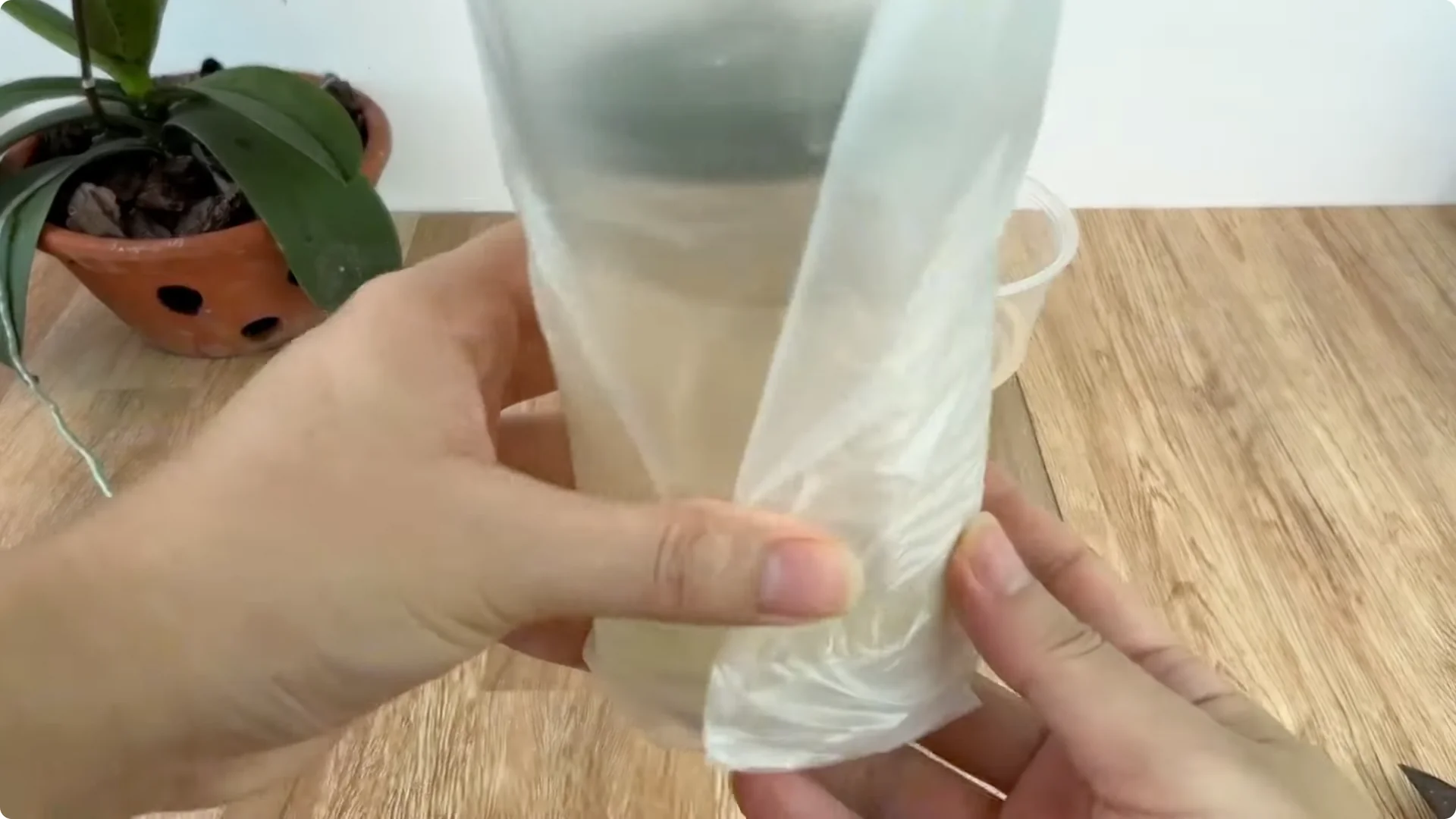 How Any Rose Branch Can Root and Sprout Much Faster screenshot 13