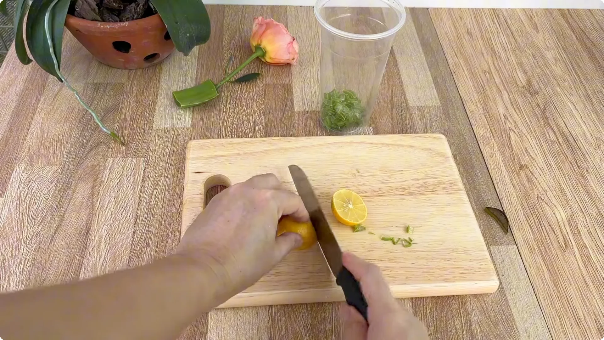 How Any Rose Branch Can Root and Sprout Much Faster screenshot 5