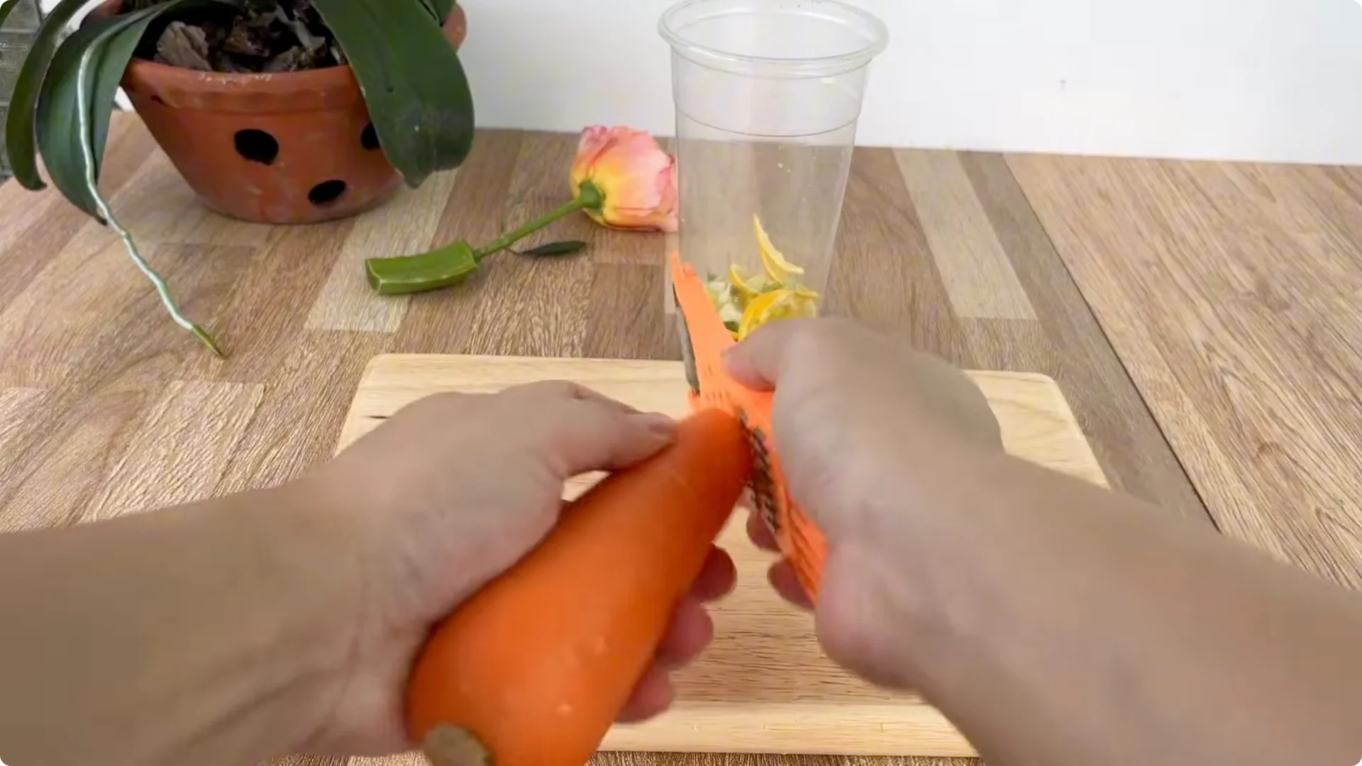 How Any Rose Branch Can Root and Sprout Much Faster screenshot 6