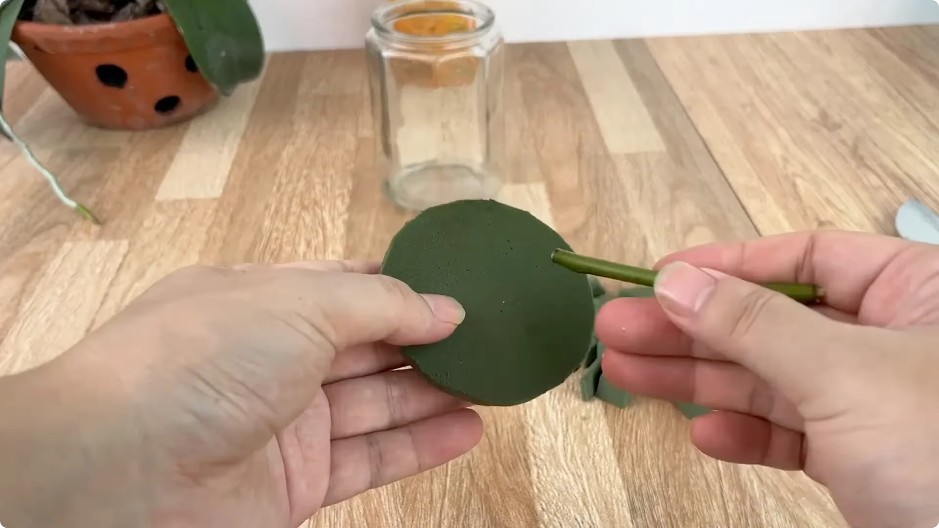 How Any Rose Branch Can Root and Sprout Much Faster screenshot 9