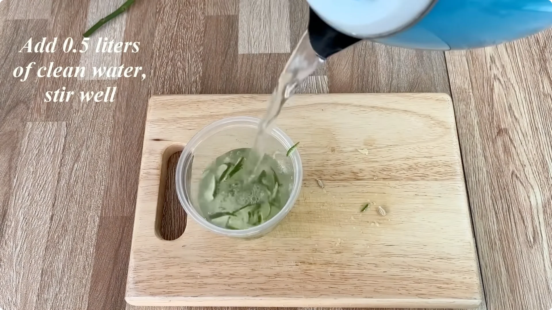 How Anyone Can Easily Propagate Roses at Home screenshot 10