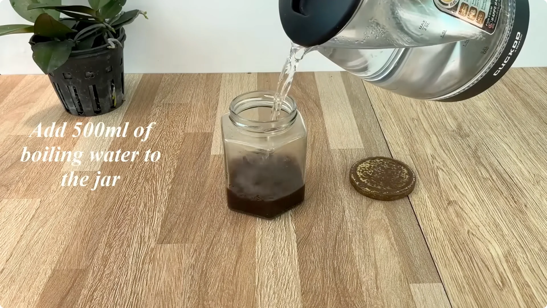 How Anyone Can Easily Propagate Roses at Home screenshot 3