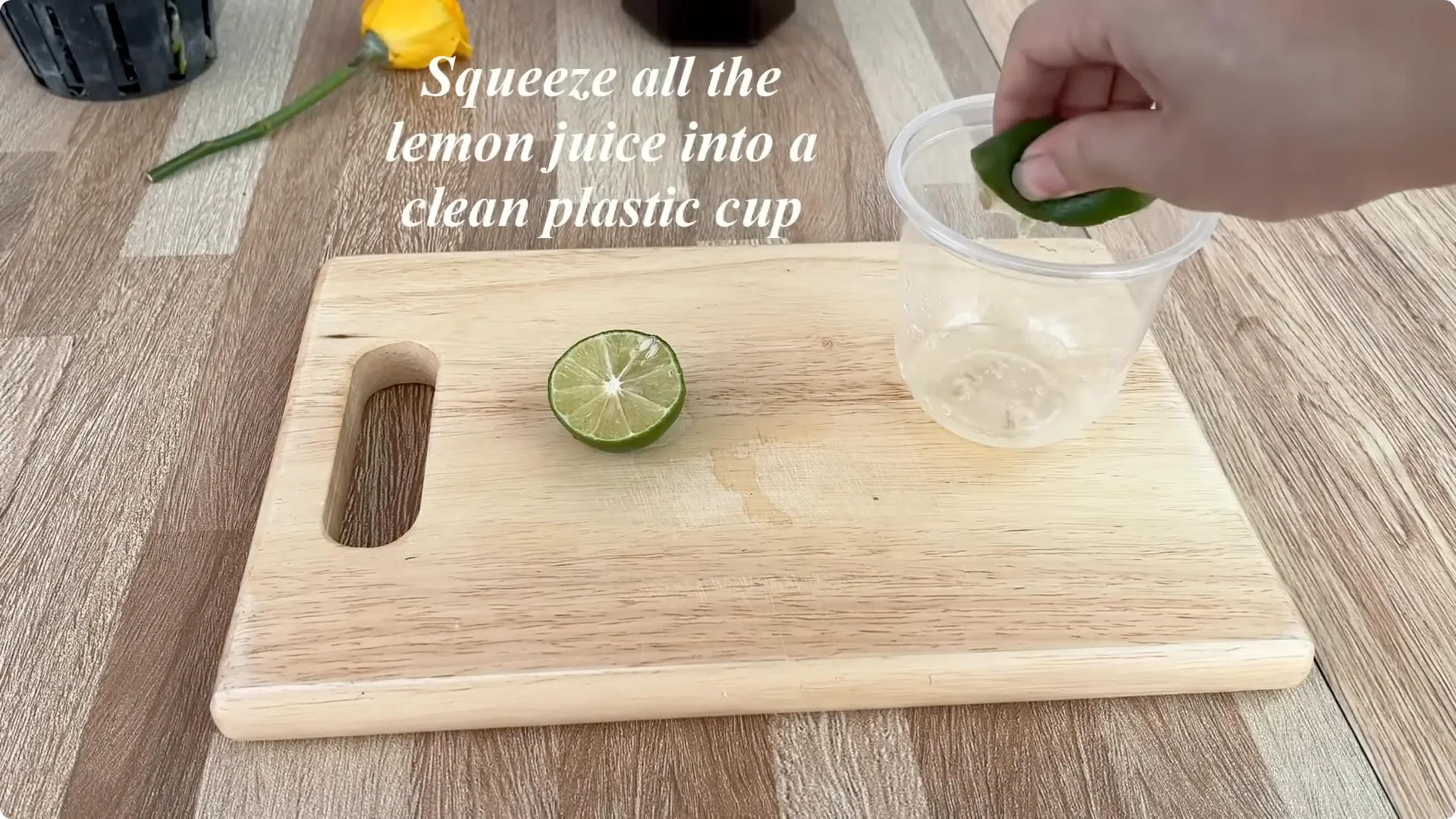 How Anyone Can Easily Propagate Roses at Home screenshot 8