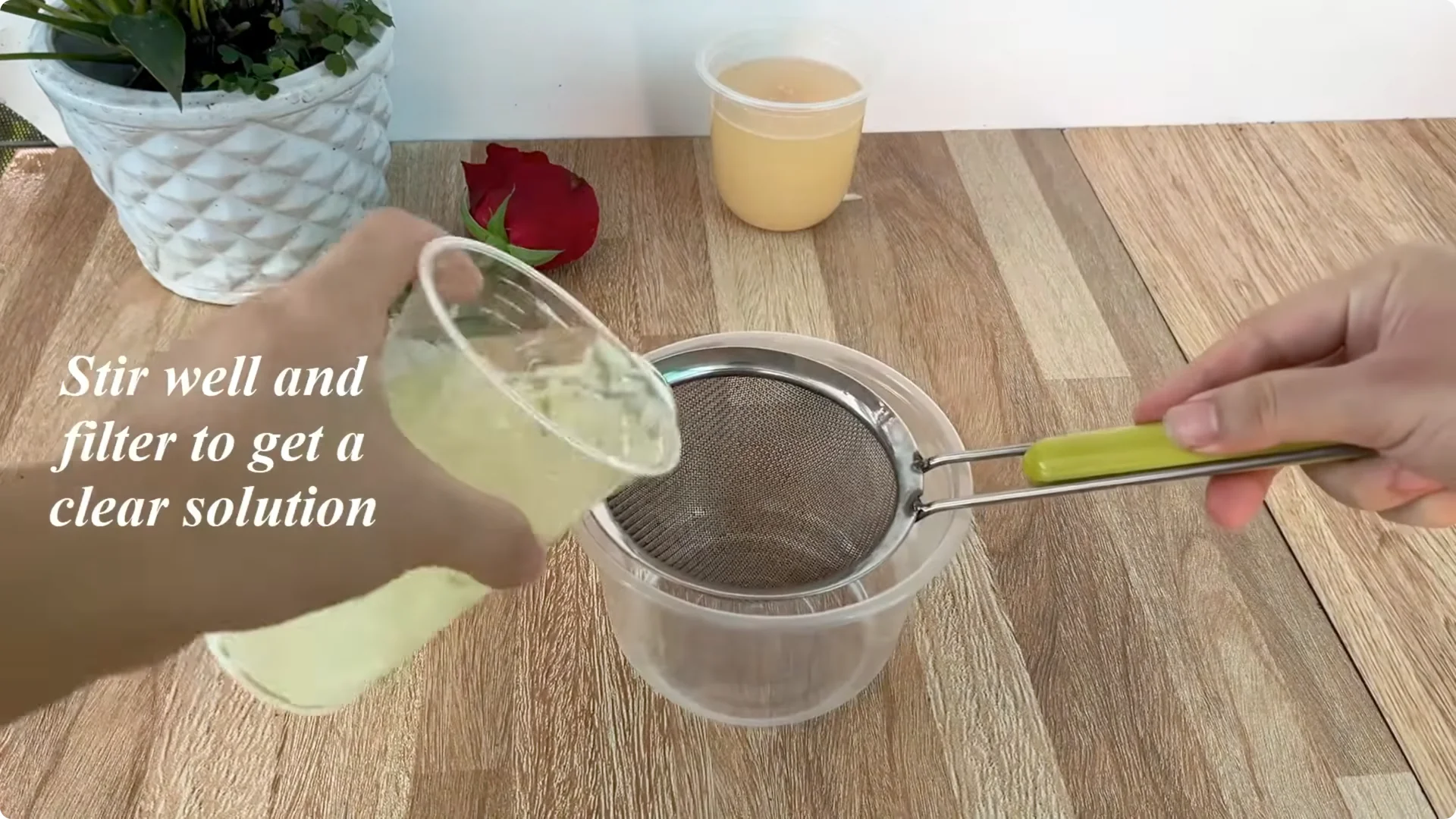 How Coca Boosts Rose Propagation: Fast and Effective Tips screenshot 4