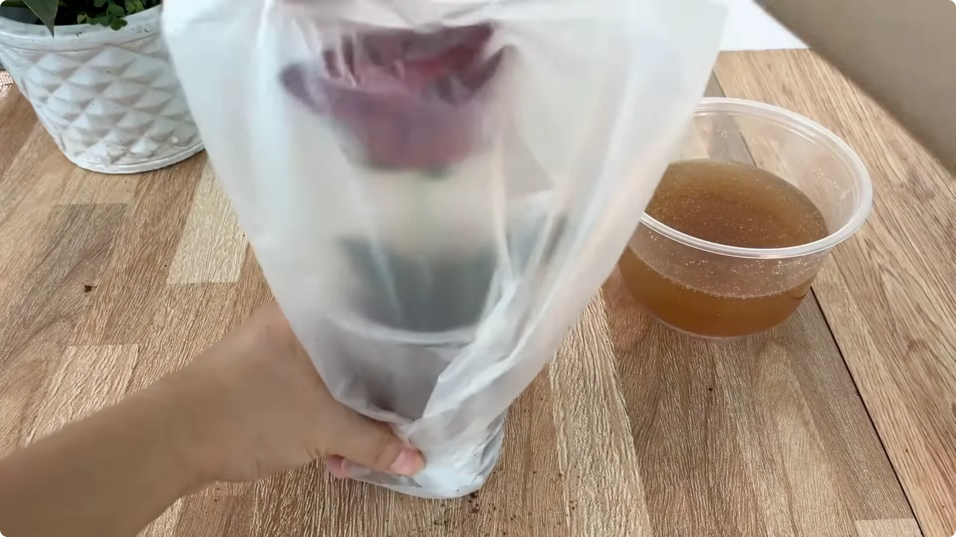 How Coca Boosts Rose Propagation: Fast and Effective Tips screenshot 7