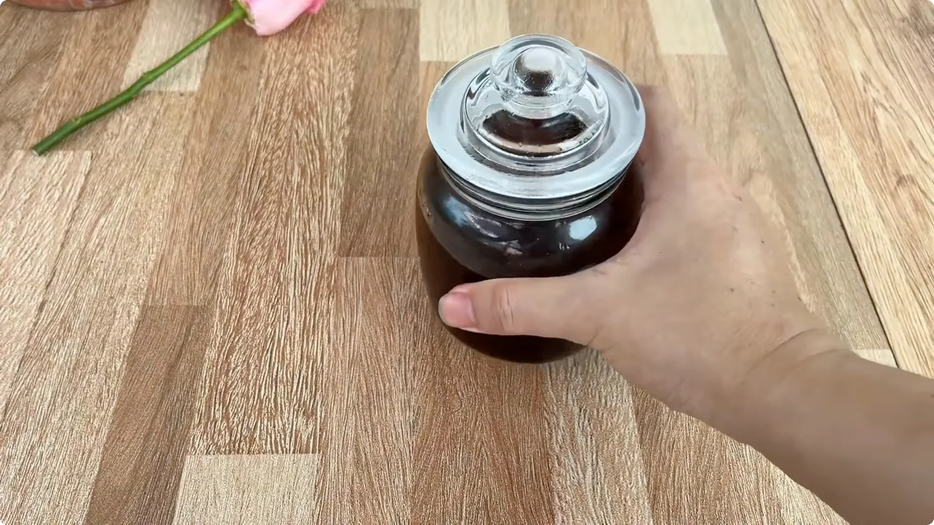 How Coffee Transforms Your Rose Plant’s Roots and Blooms screenshot 2