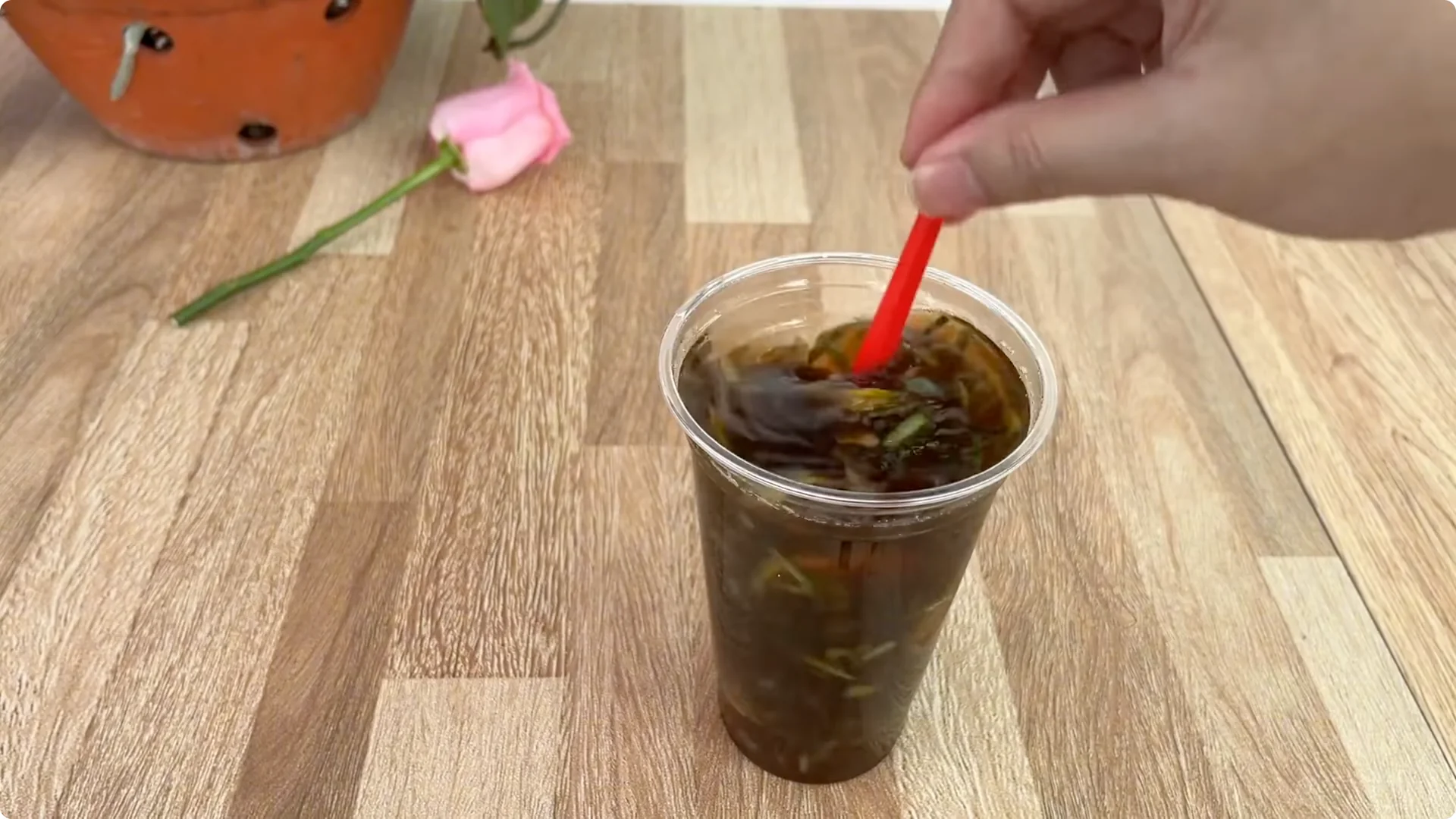 How Coffee Transforms Your Rose Plant’s Roots and Blooms screenshot 4