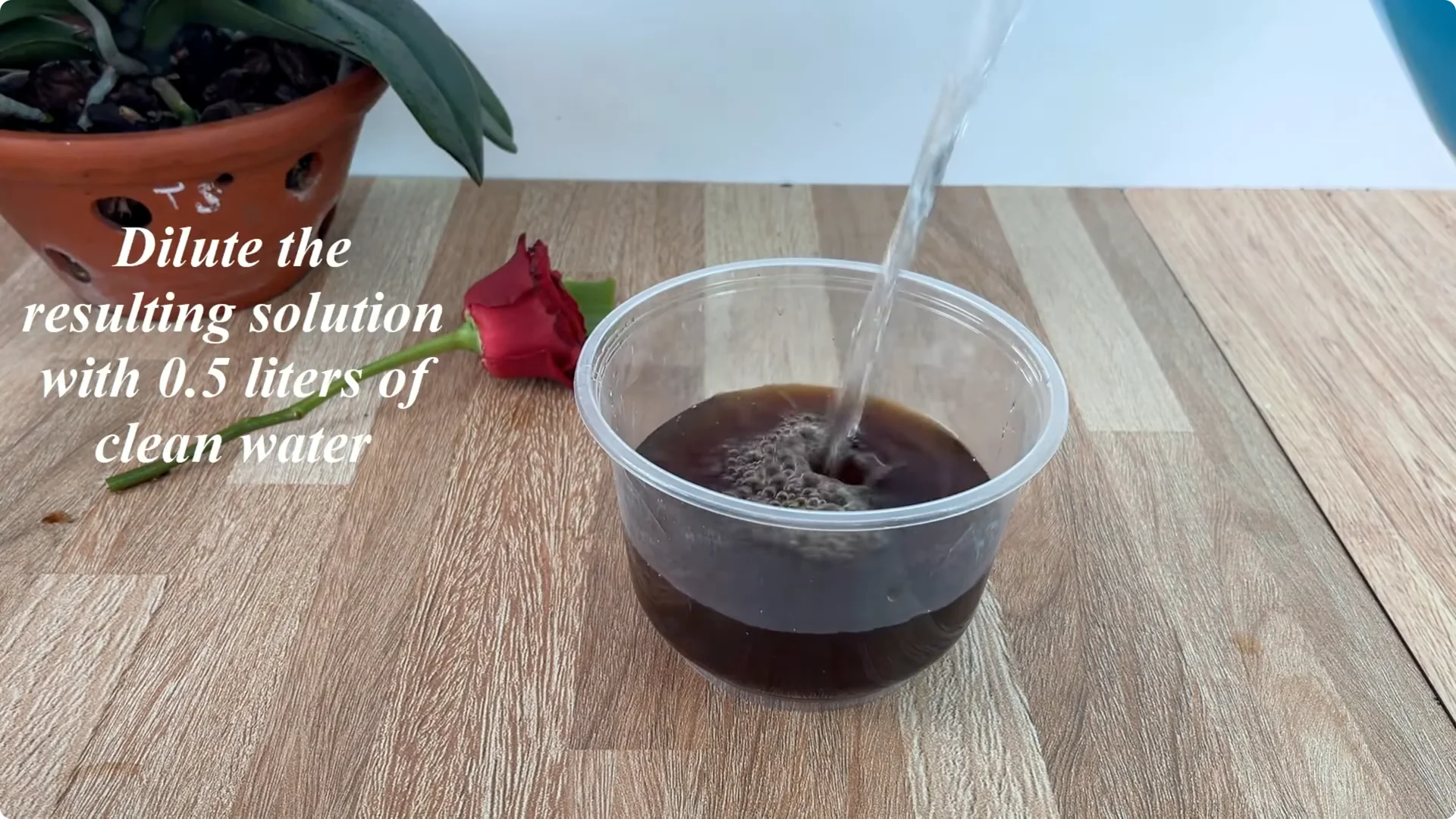 How Did the Rose Branch Suddenly Take Root and Bloom So Fast? screenshot 6