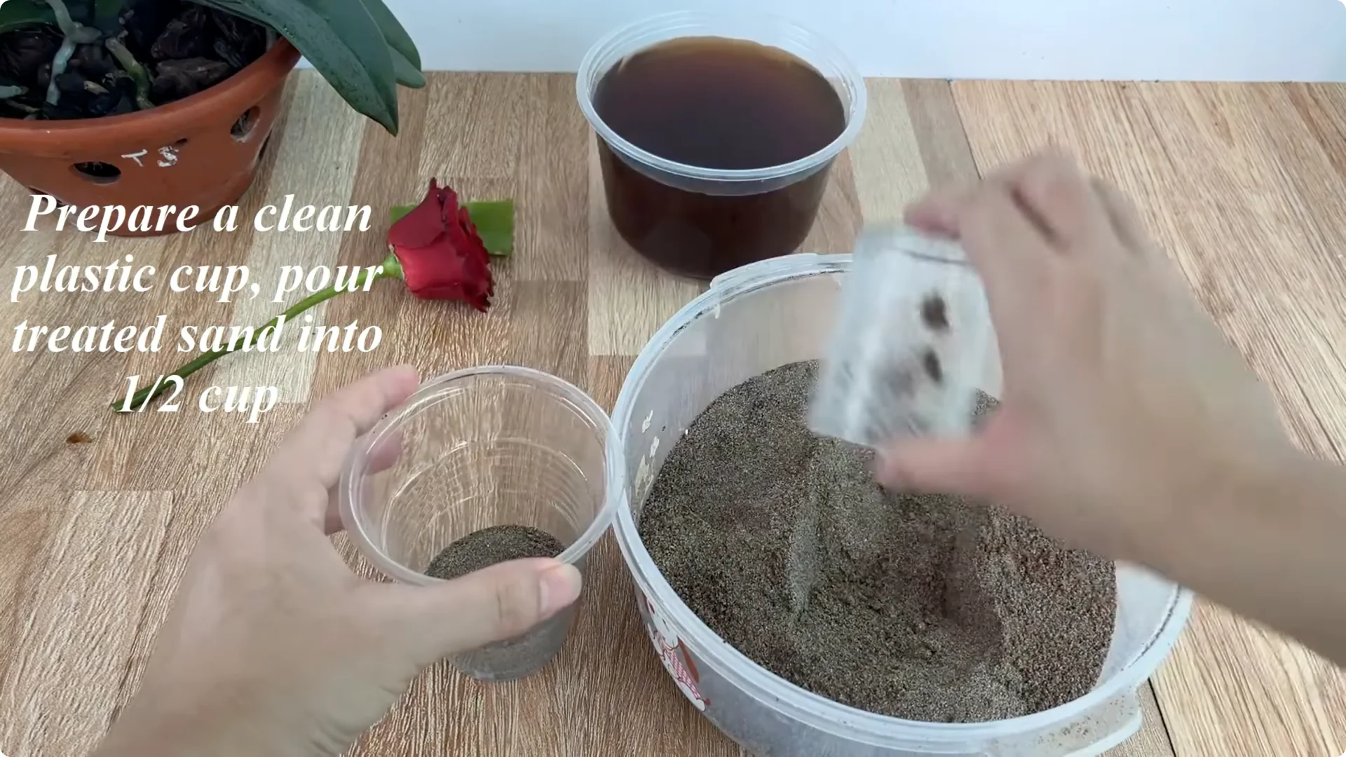 How Did the Rose Branch Suddenly Take Root and Bloom So Fast? screenshot 7