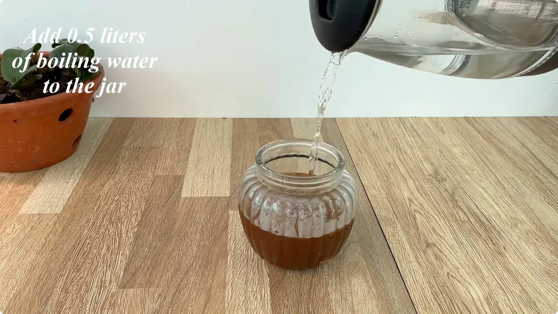 How Did This Rose Branch Root and Sprout So Fast? screenshot 1