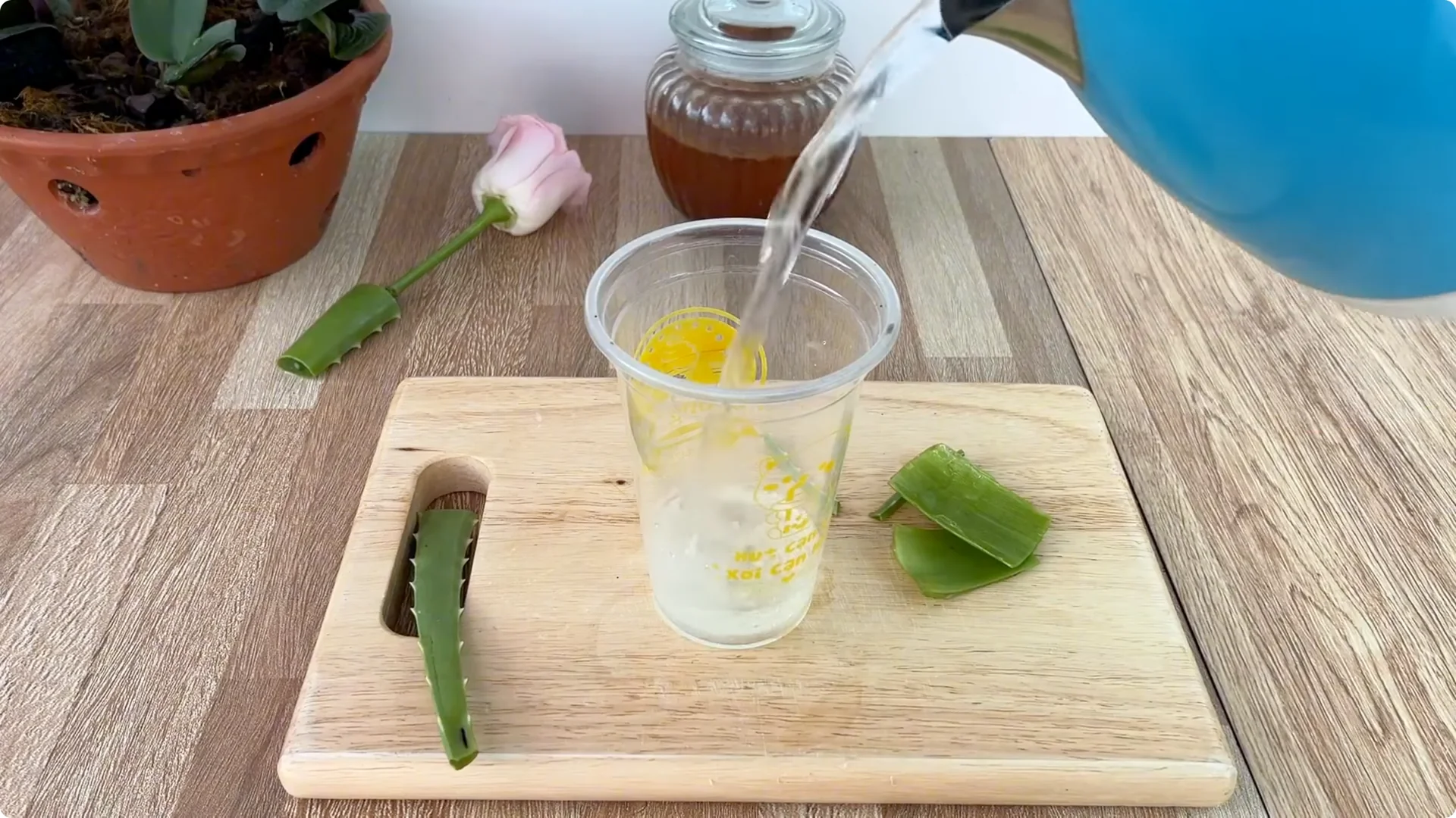 How Did This Rose Branch Root and Sprout So Fast? screenshot 4