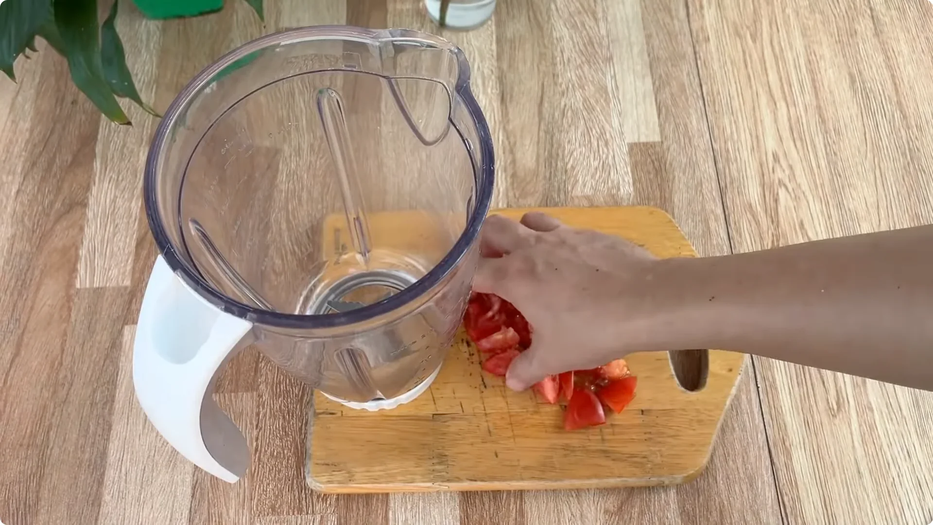 How Did This Rose Branch Root and Sprout So Quickly? screenshot 10