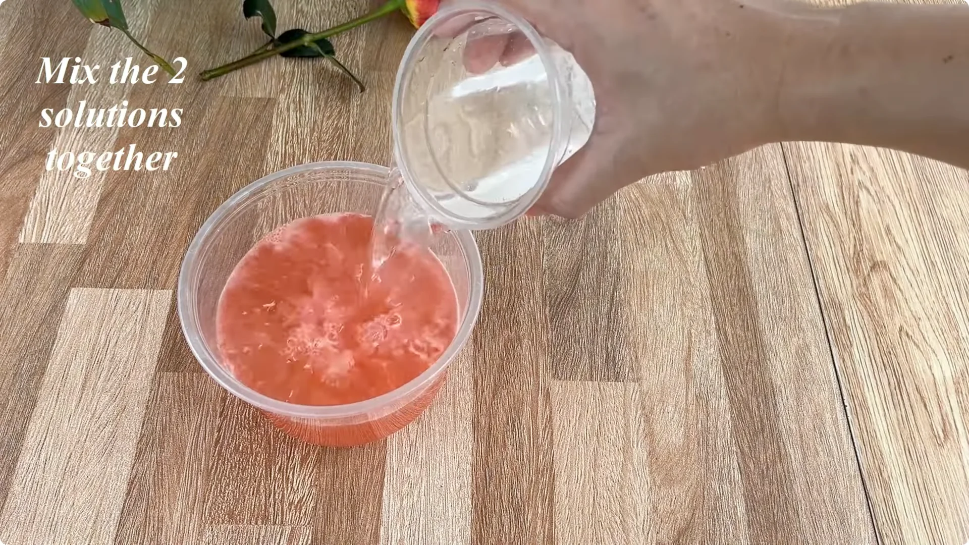 How Did This Rose Branch Root and Sprout So Quickly? screenshot 12