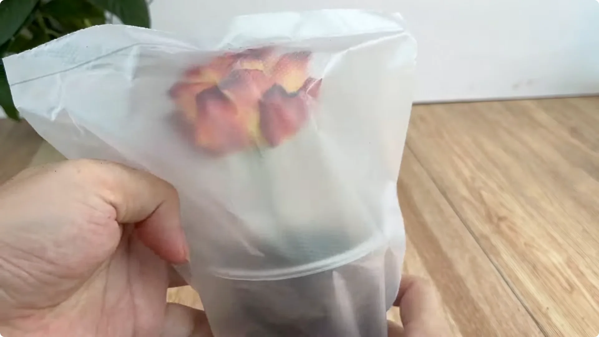 How Did This Rose Branch Root and Sprout So Quickly? screenshot 18