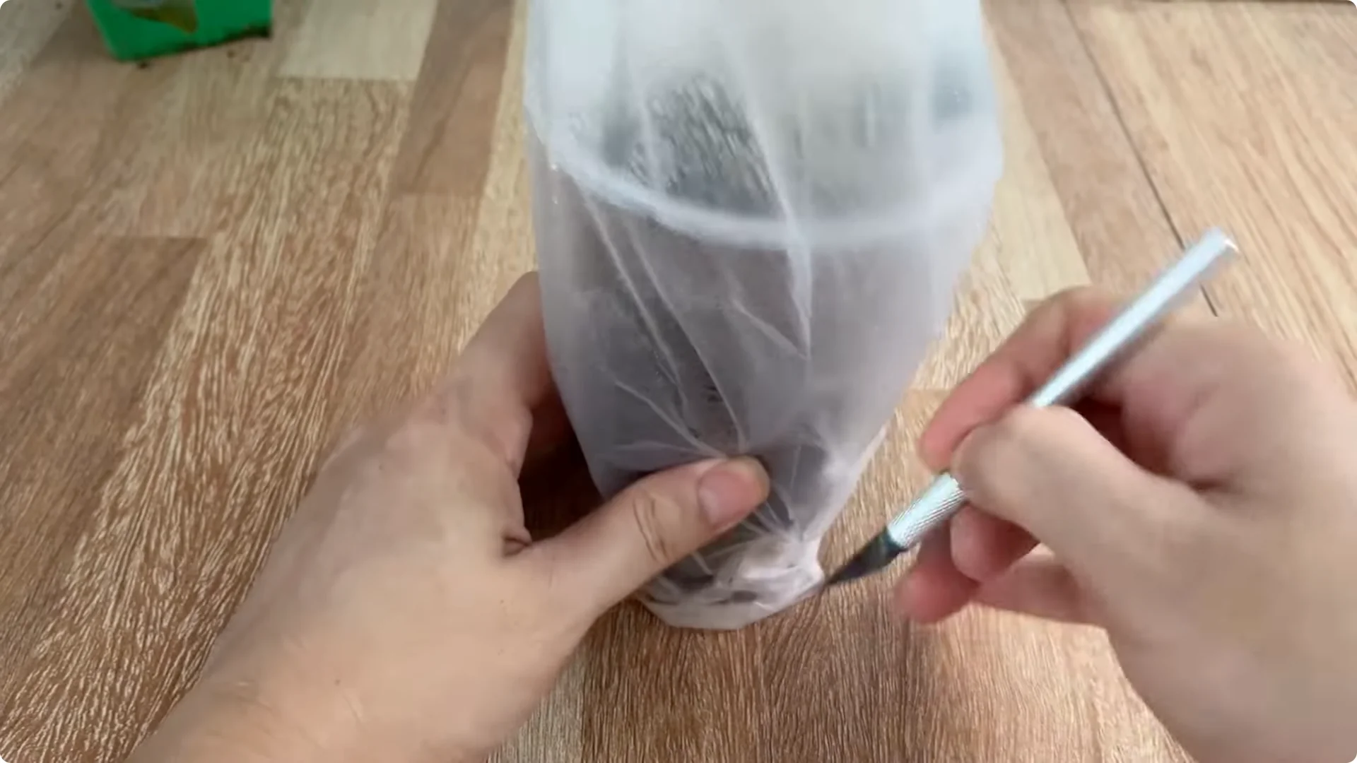 How Did This Rose Branch Root and Sprout So Quickly? screenshot 19