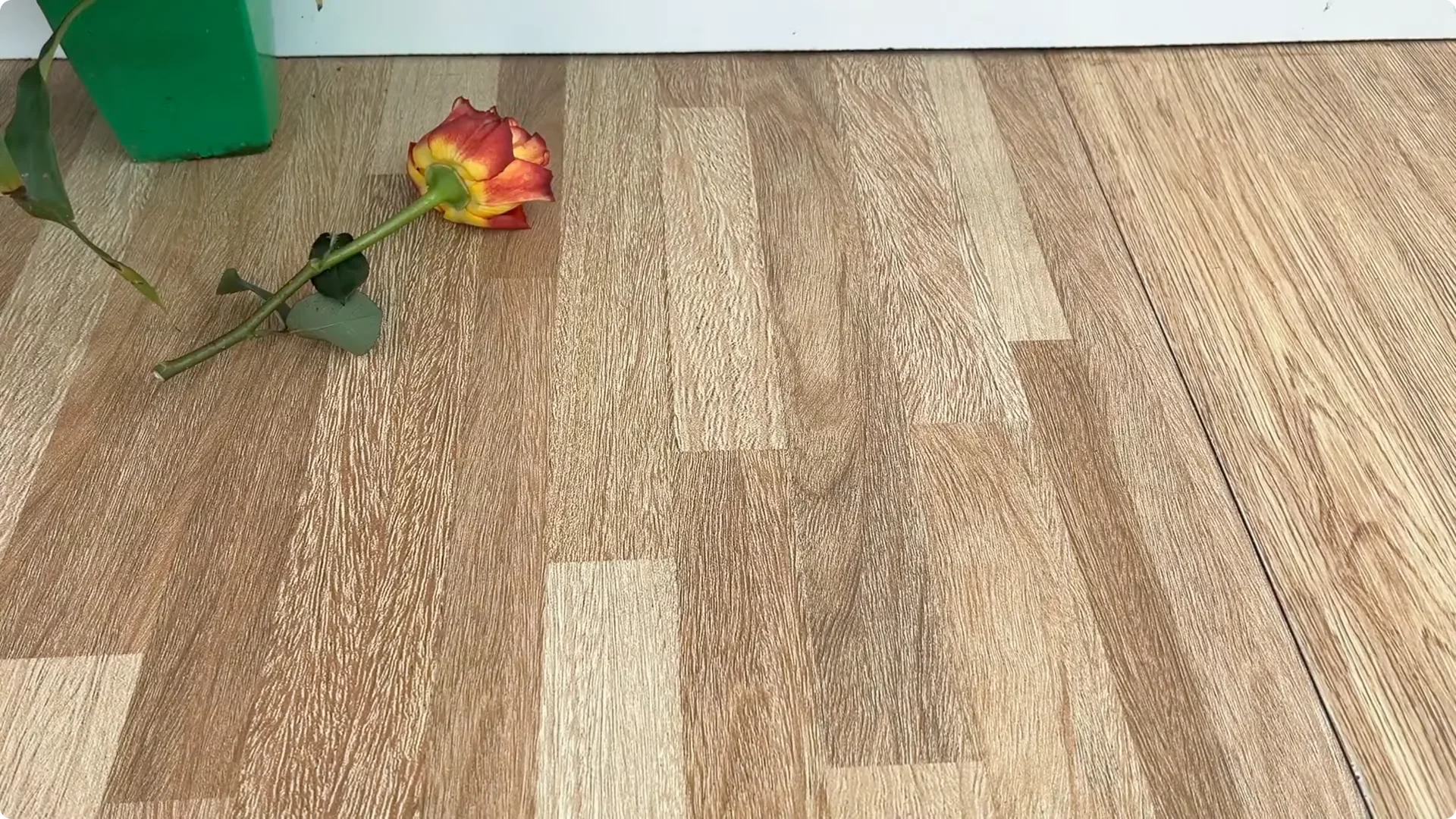 How Did This Rose Branch Root and Sprout So Quickly? screenshot 4