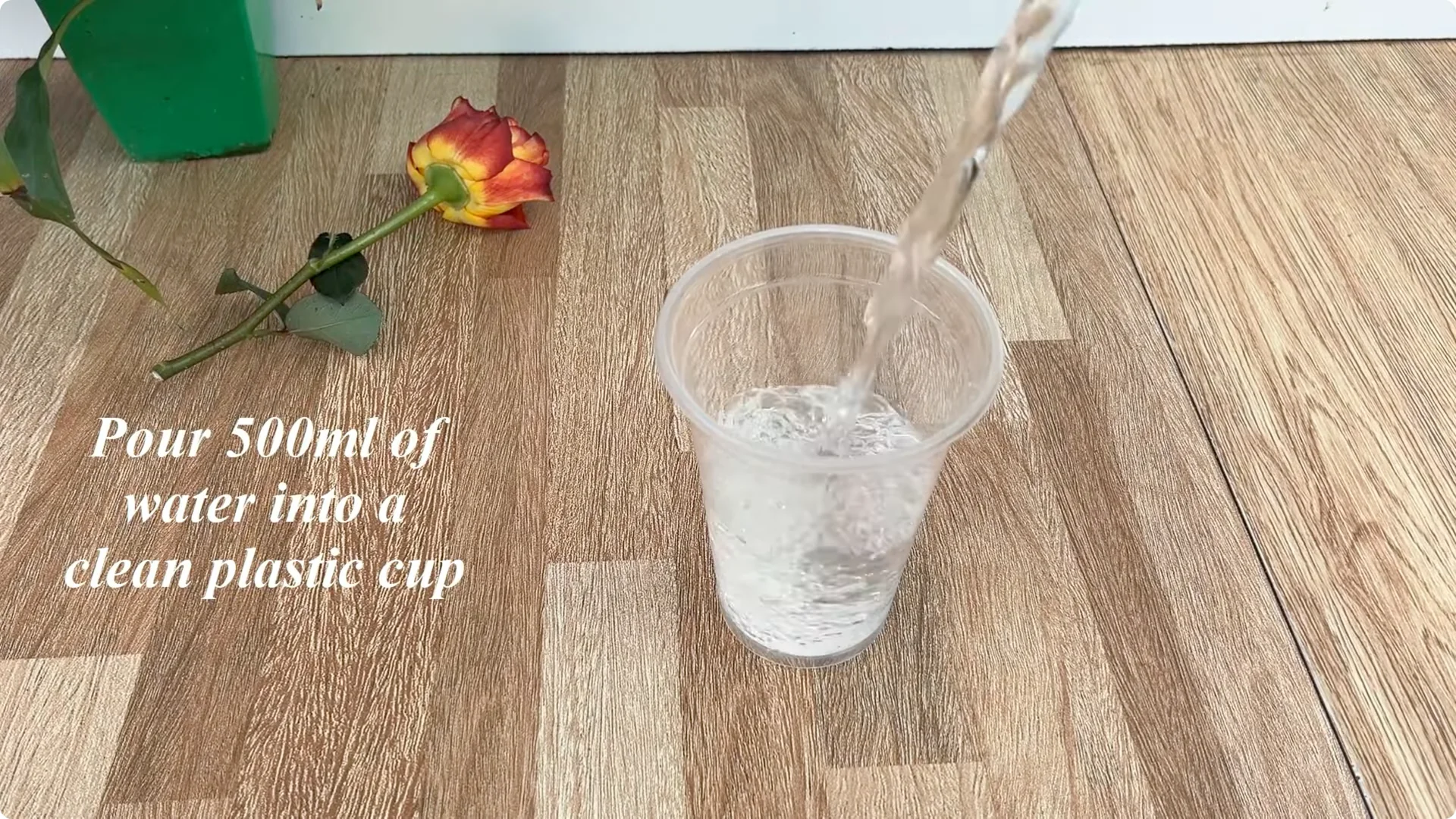 How Did This Rose Branch Root and Sprout So Quickly? screenshot 5