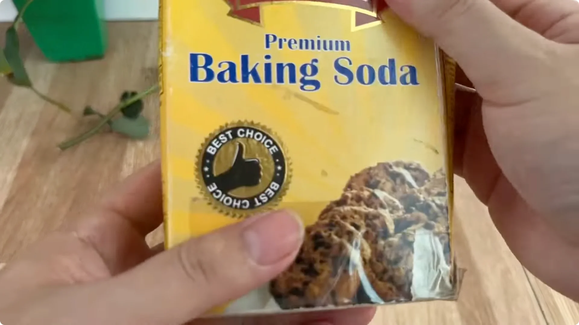 How Did This Rose Branch Root and Sprout So Quickly? screenshot 6